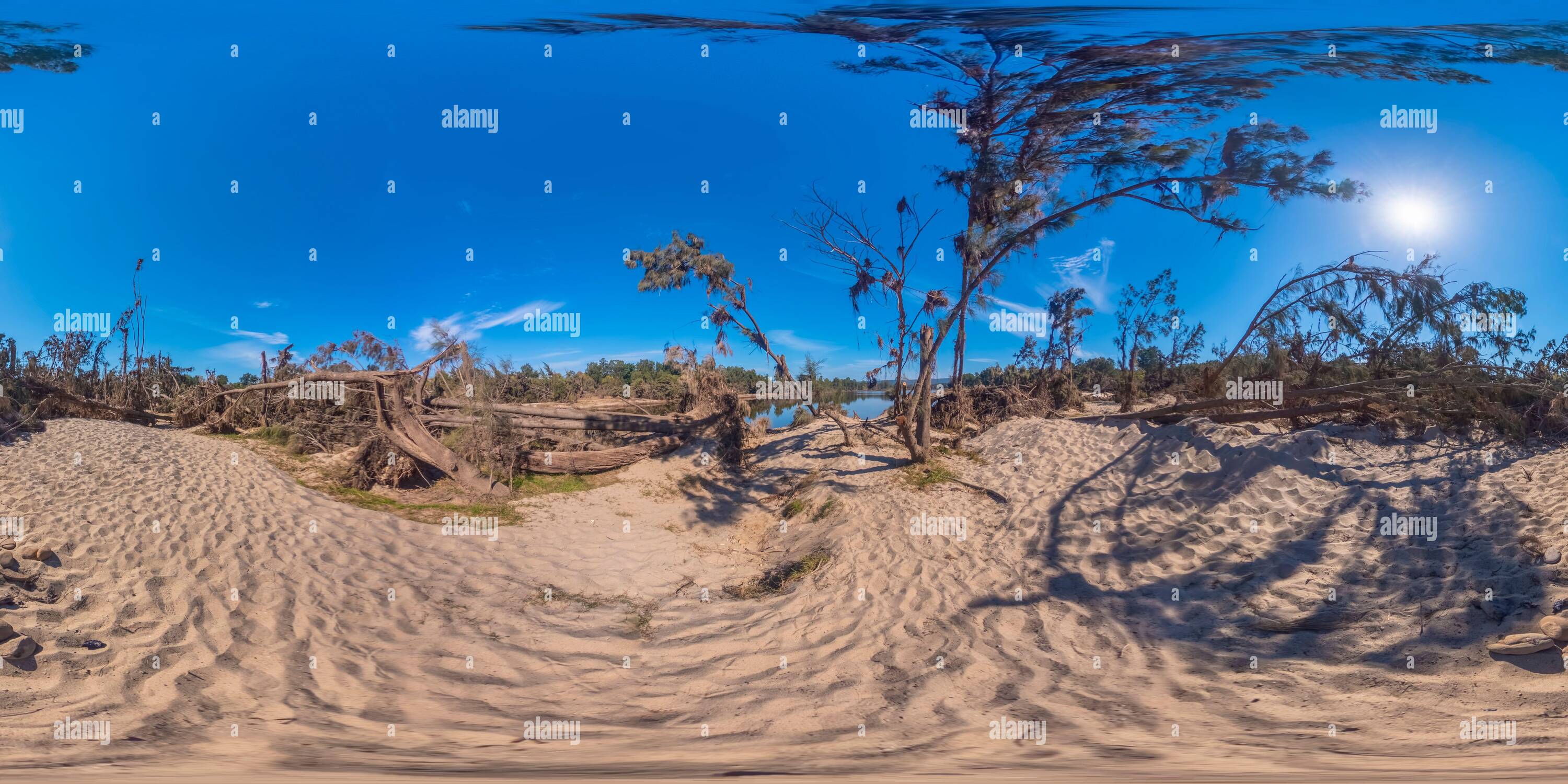 View Of Spherical Panoramic Photograph Of Fallen Trees After