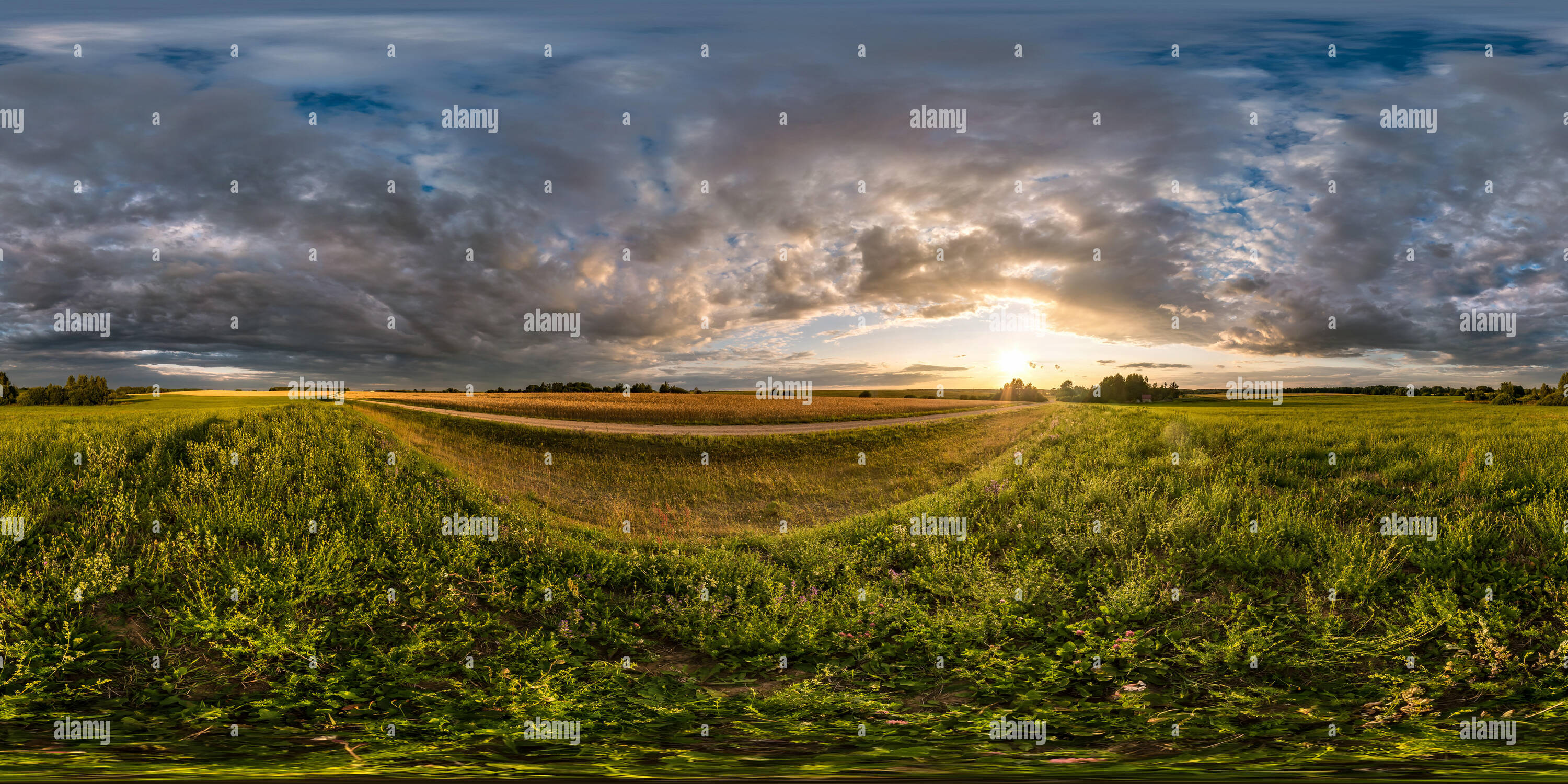 360° view of full seamless spherical hdri panorama 360 degrees angle view  among fields in summer evening sunset with awesome in equirectangular  projection with zen - Alamy