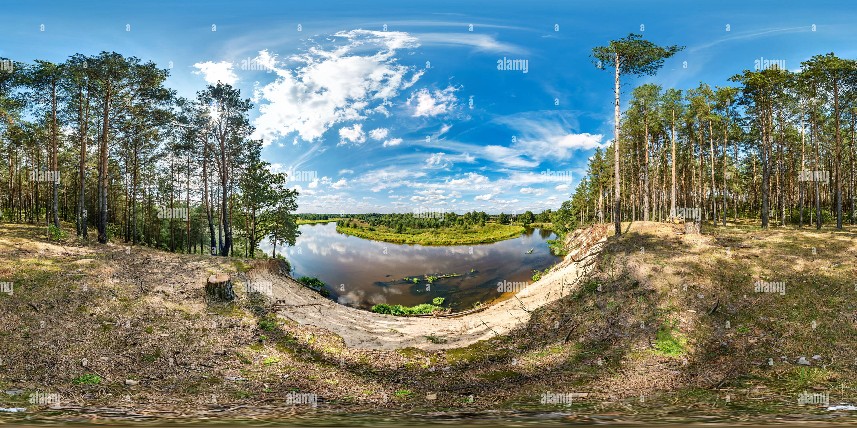 Full Seamless Spherical Hdri Panorama 360 Degrees Angle View With High Sandy Cliff Near The Riverbank In A Pine Forest In Equirectangular Projection 2A307C4 