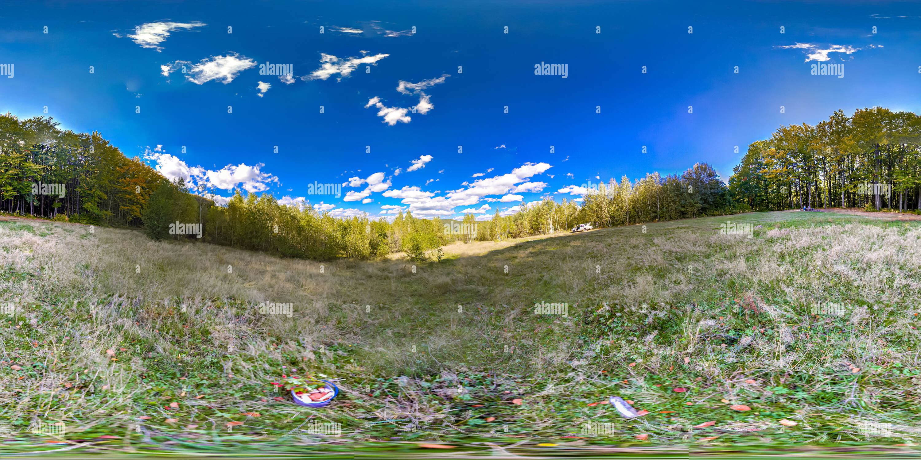 360 degree panoramic view of Simer, Transcarpathia, Mushrooms