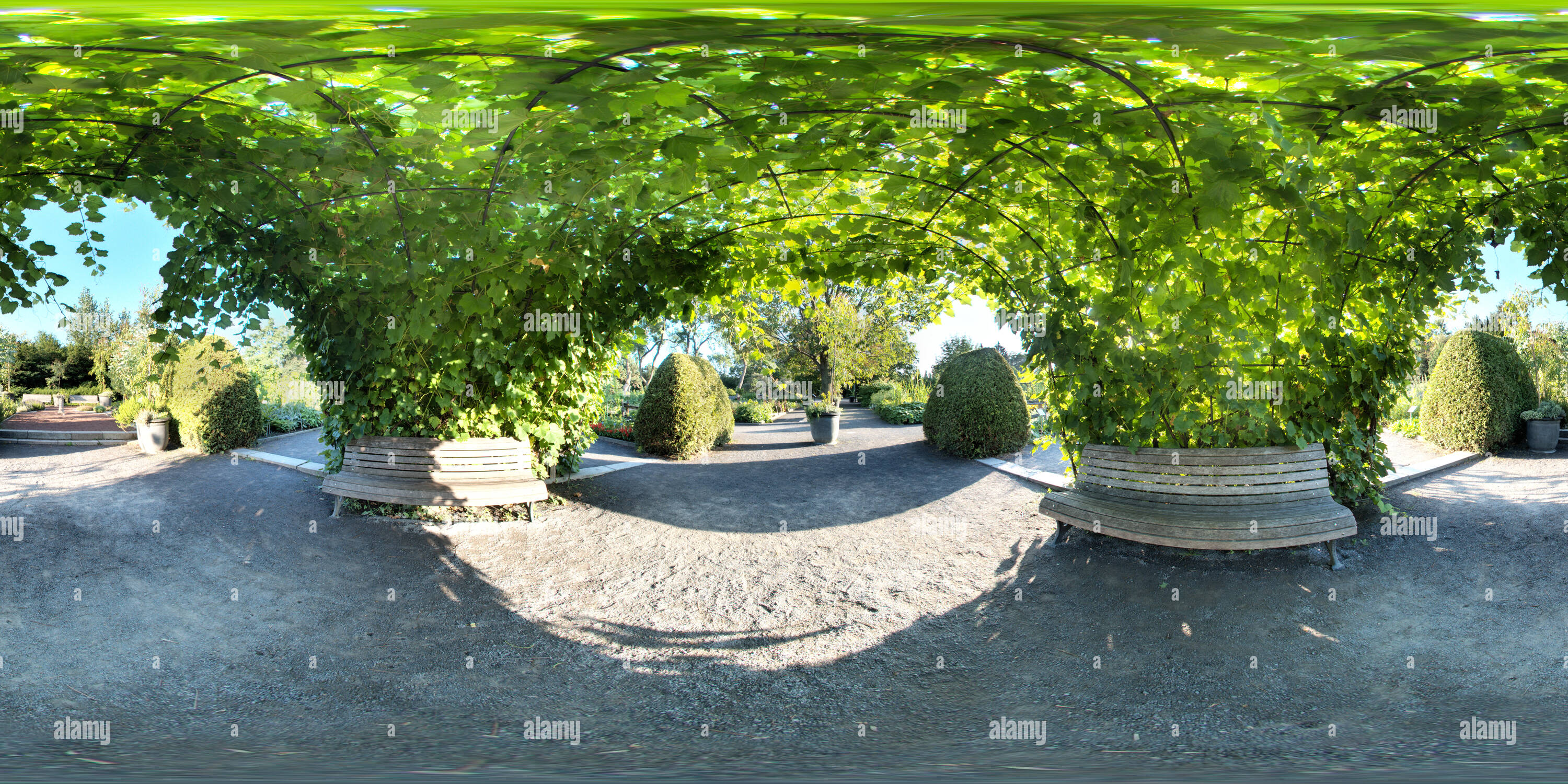 360° view of Useful plants Montreal Botanical Garden Alamy