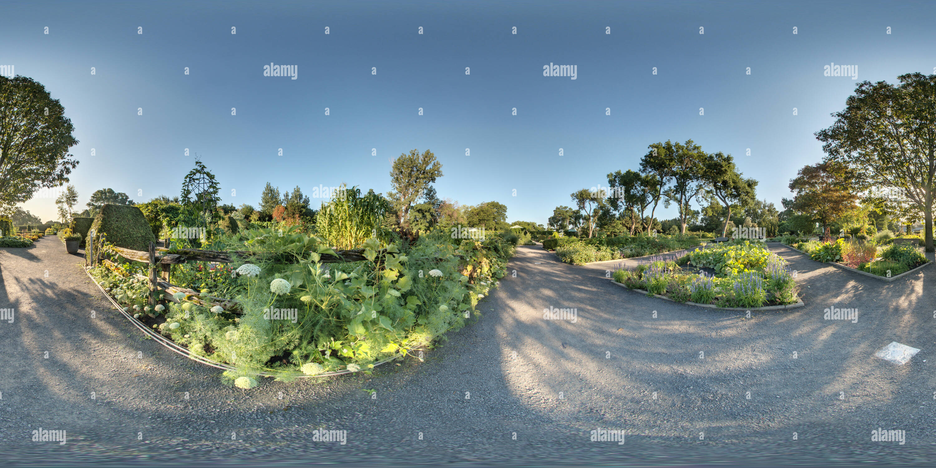 360° view of Useful plants Montreal Botanical Garden Alamy