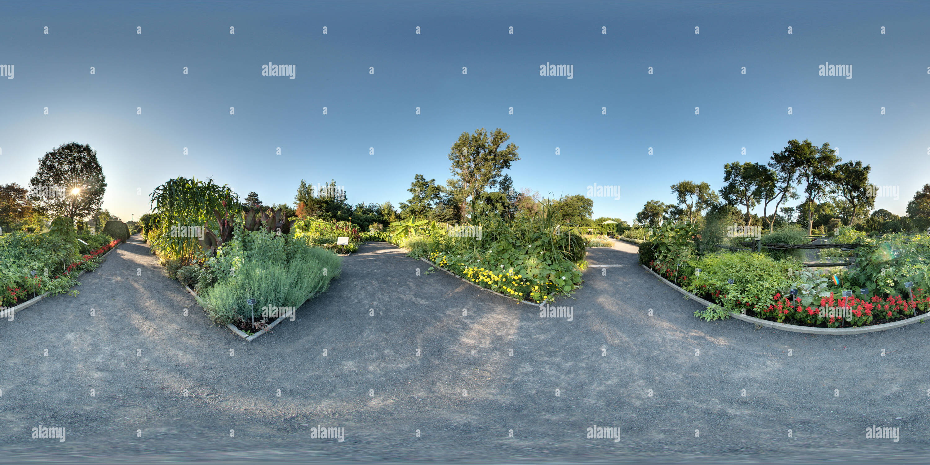 360° view of Useful plants Montreal Botanical Garden Alamy
