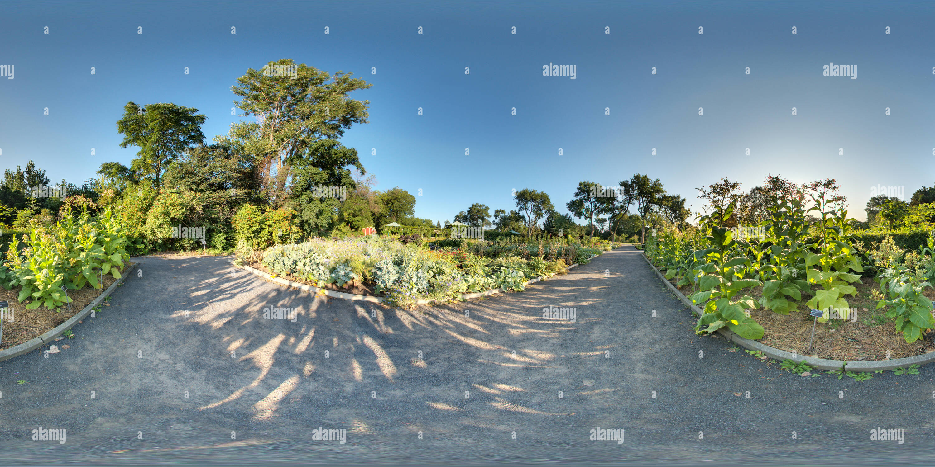 360° view of Useful plants Montreal Botanical Garden Alamy