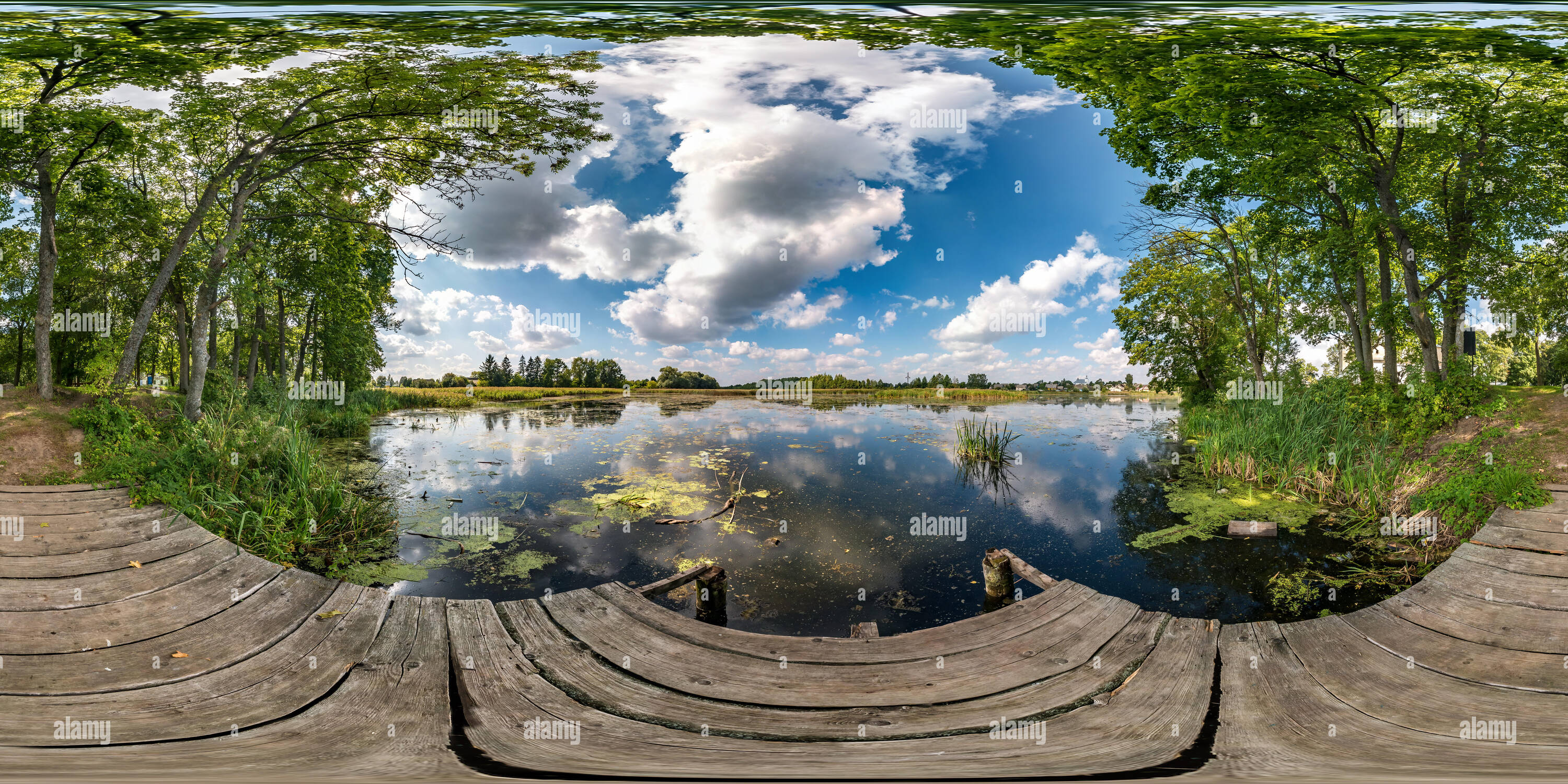 Full Seamless Spherical Hdri Panorama 360 Degrees Angle View On Wooden Pier Among The Bushes Of Forest Near River Or Lake In Equirectangular Projectio 2A62K6T 