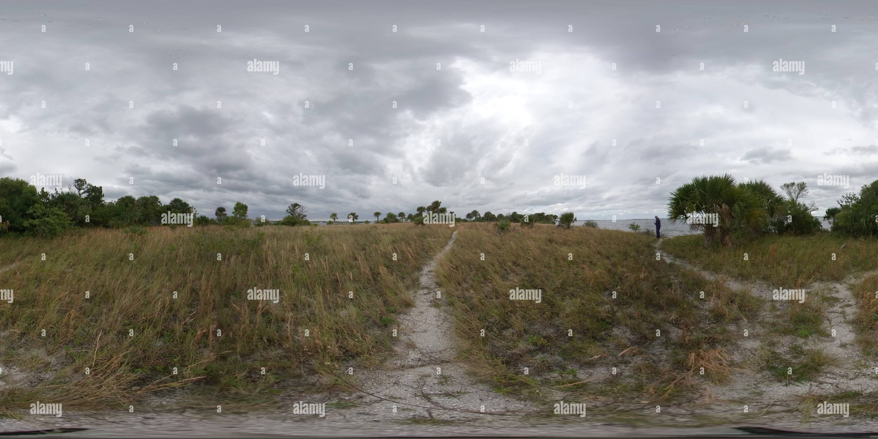 360 degree panoramic view of Horseshoe Crab Island