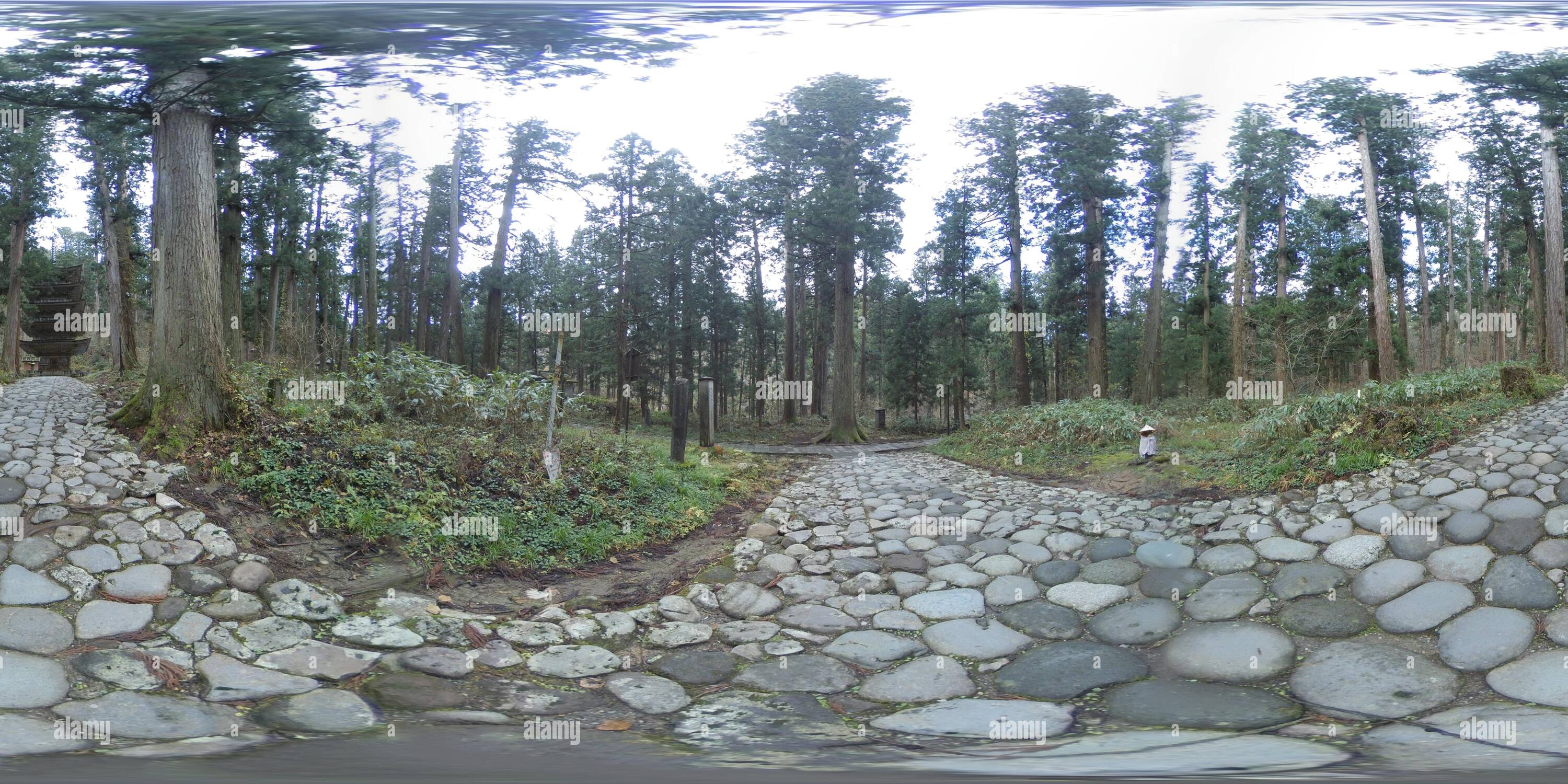 360 View Of Stone Paved Path To Japanese Pagoda 4k 360 Photo Alamy