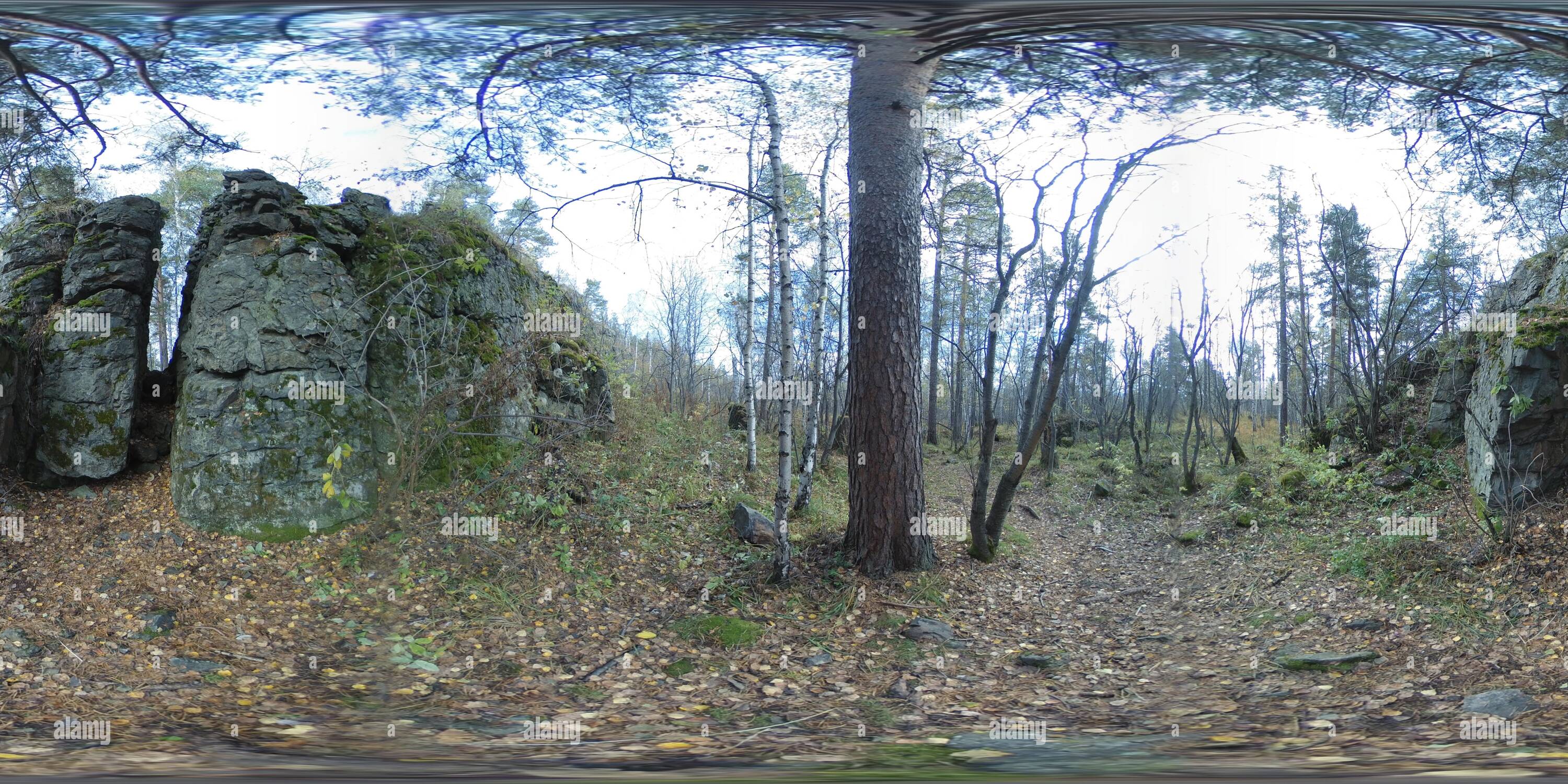 360 View Of Cleft In Rock Surrounded By Coniferous And Deciduous Trees In Forest 4k 360 Alamy