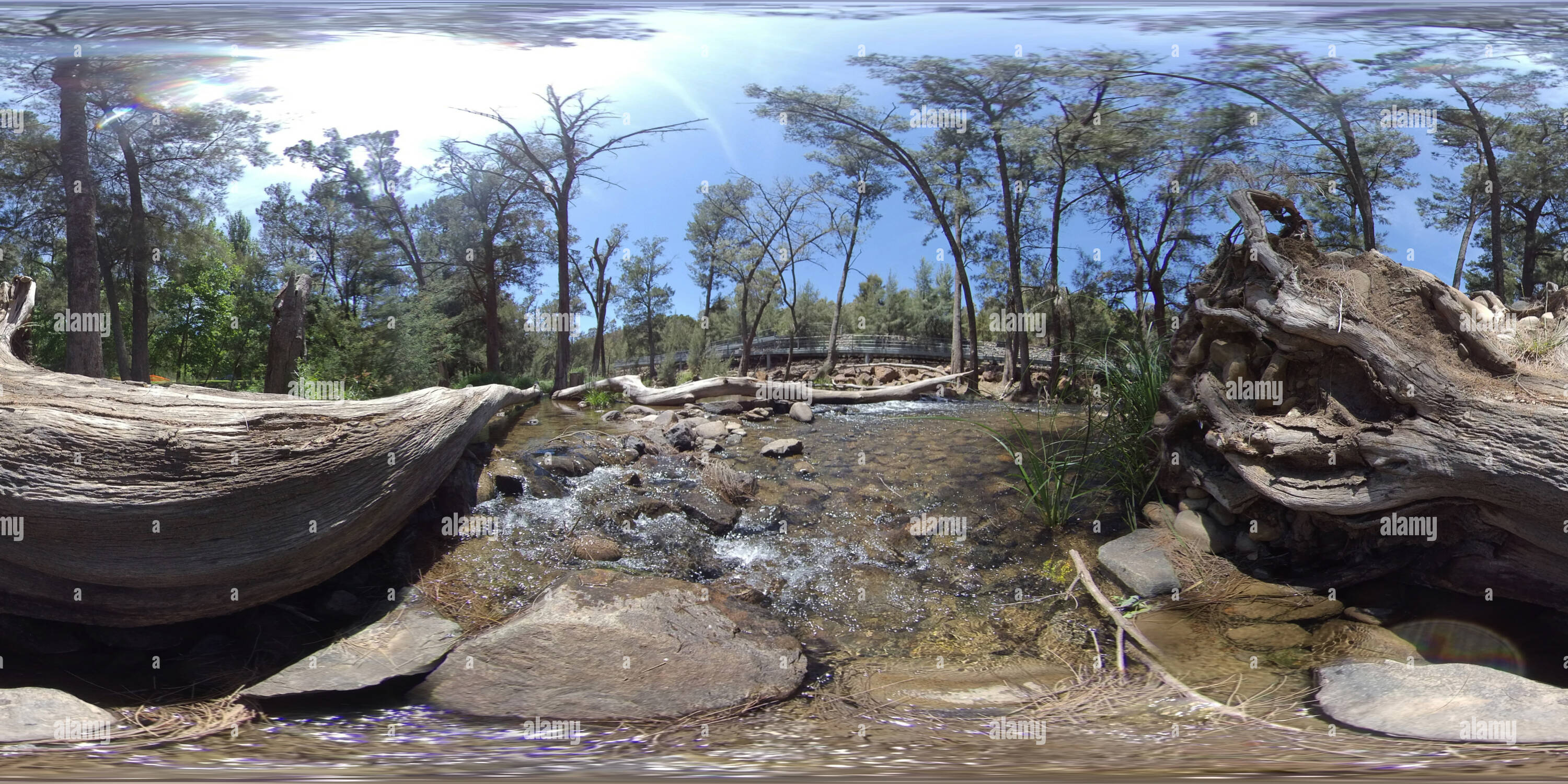 360° view of Cotter River, ACT Alamy