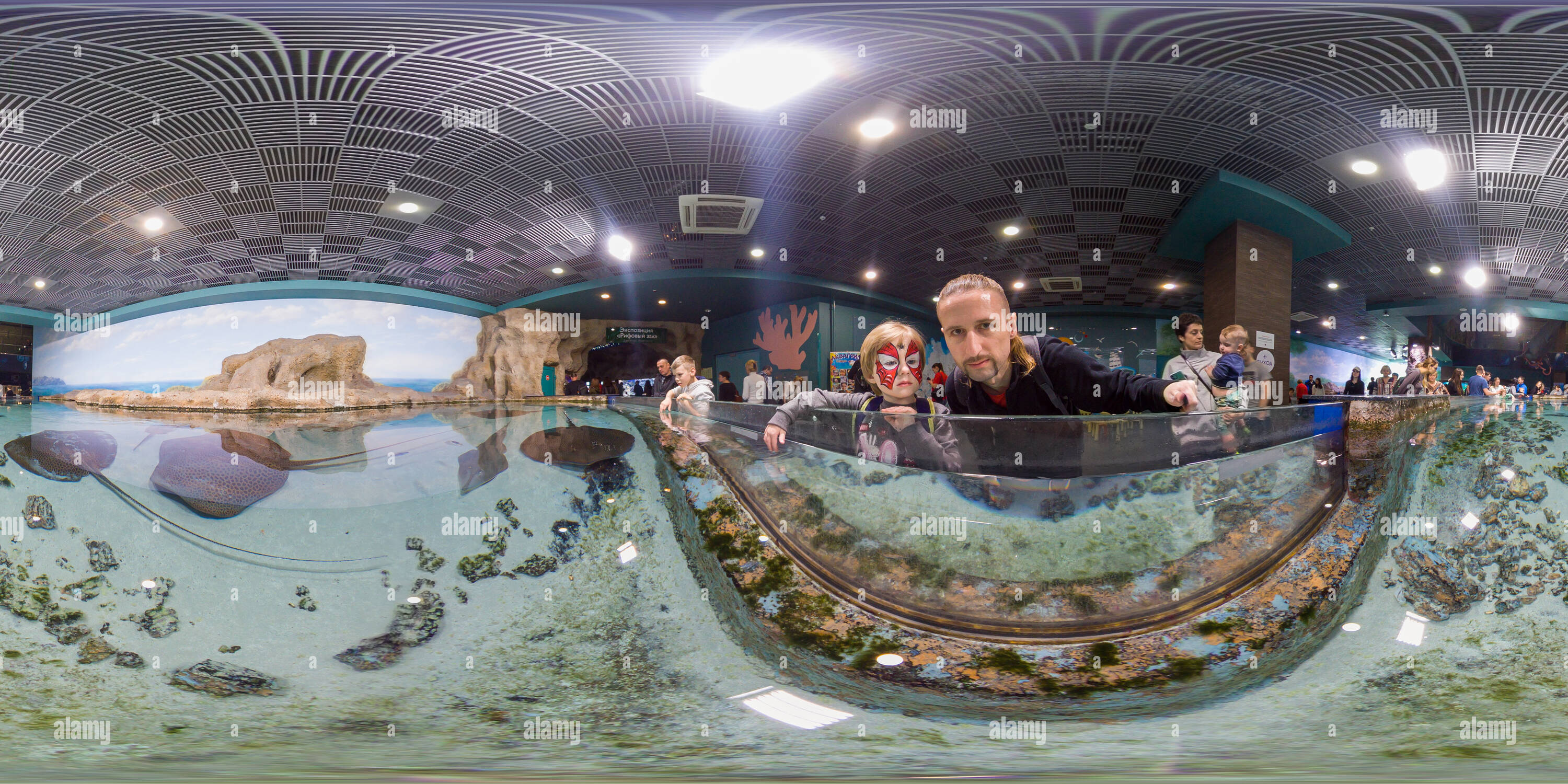 360° view of Rays in Moskvarium - one of two large aquariums in Moscow ...