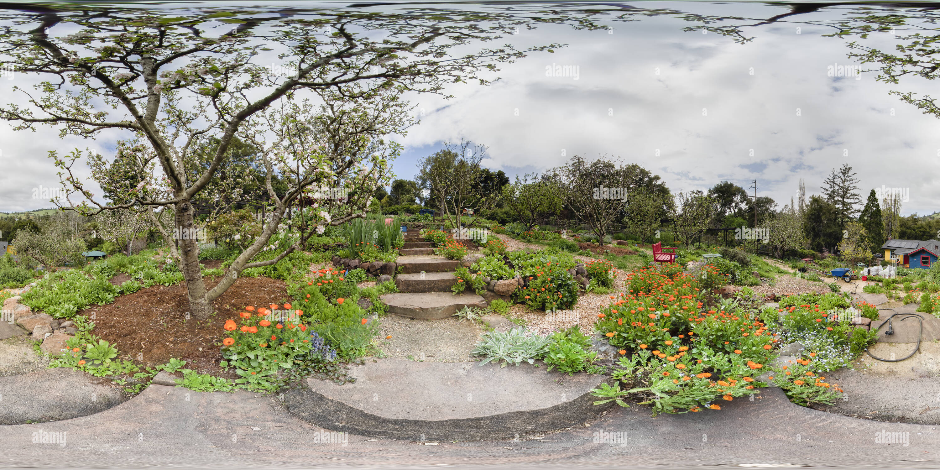 La honda california hires stock photography and images Alamy