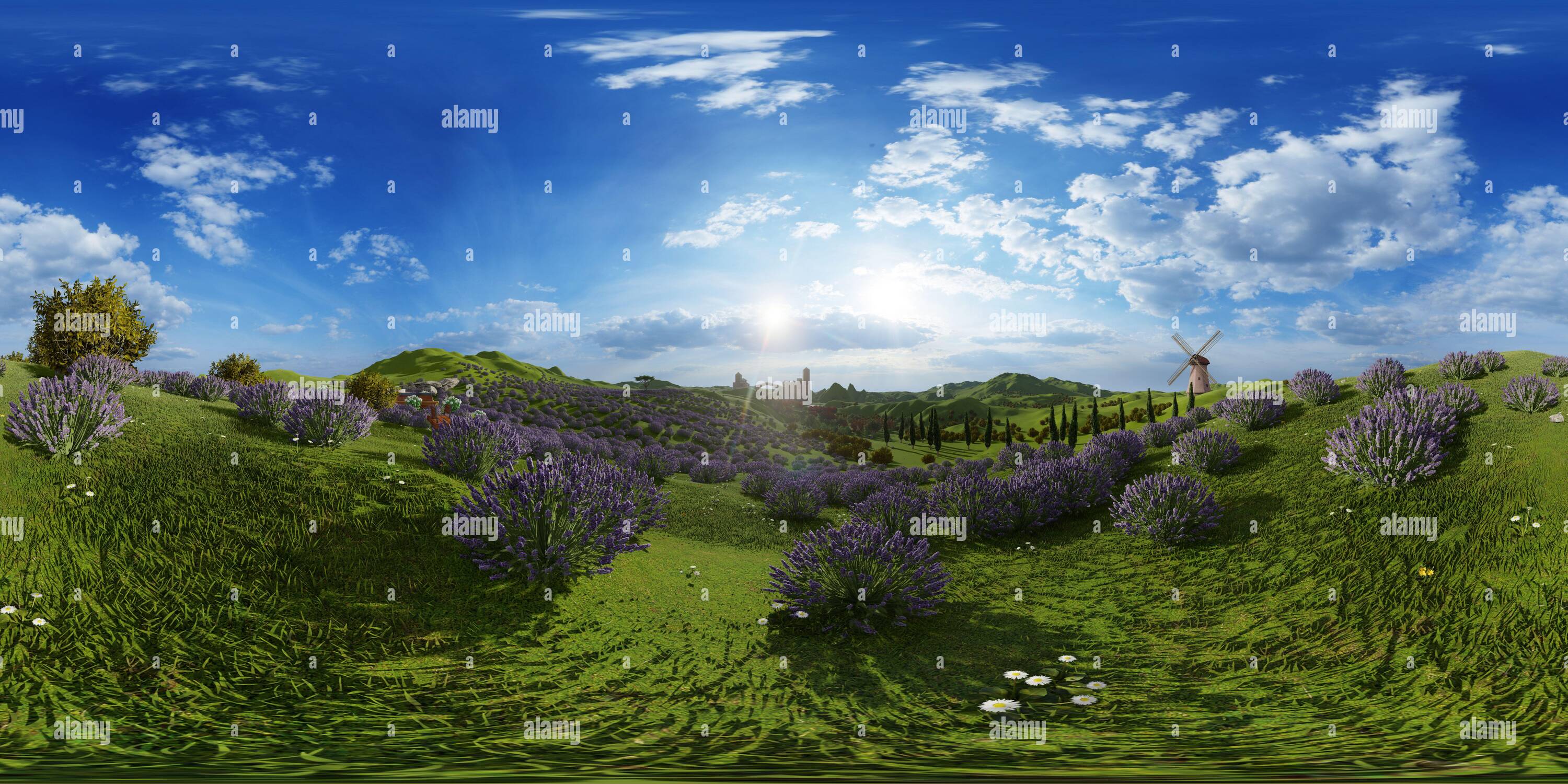360° view of Lavender fields in Toscany - Italy - Alamy