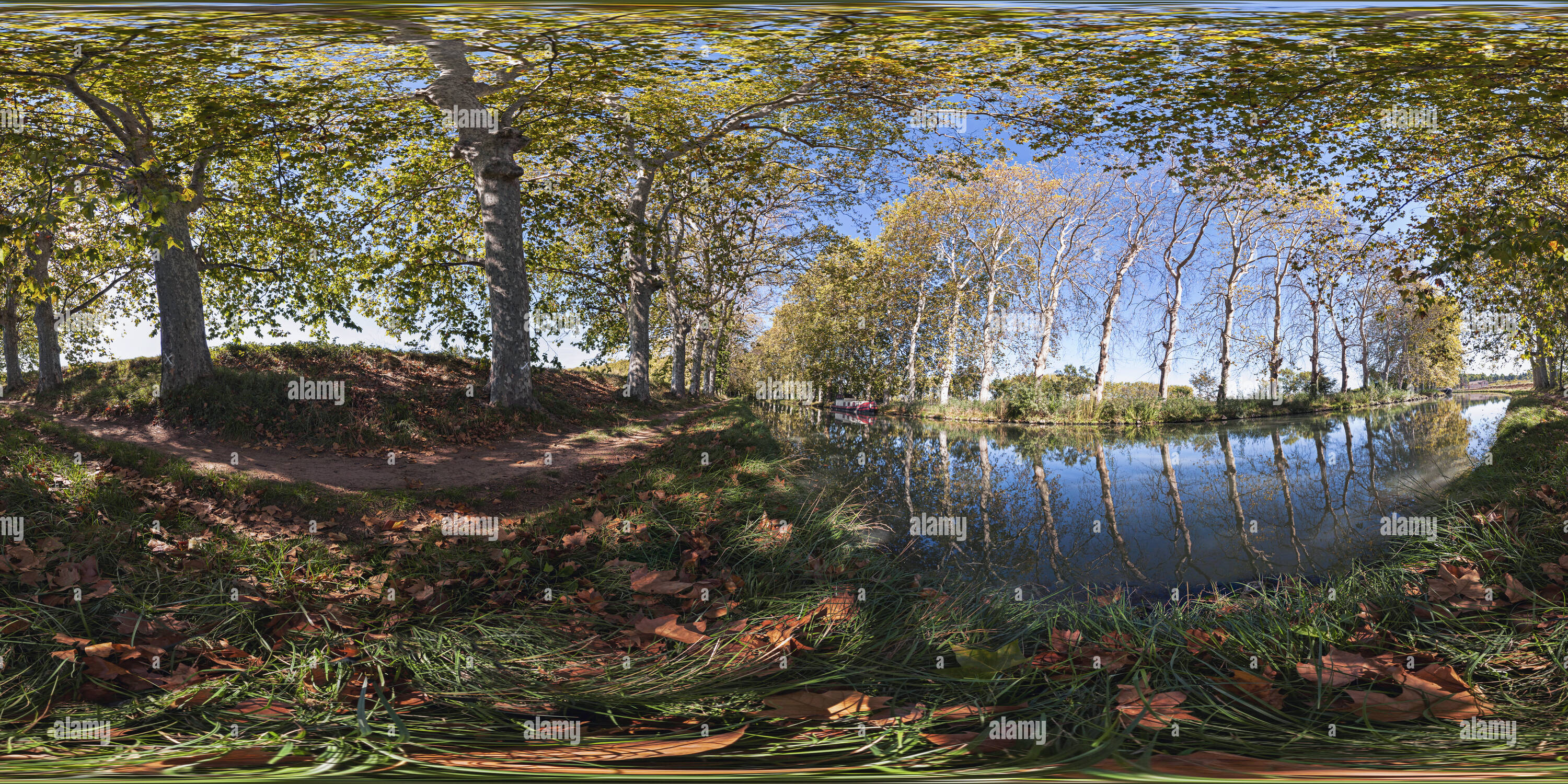 360° view of Péniche et platanes du Canal du Midi Alamy — free download