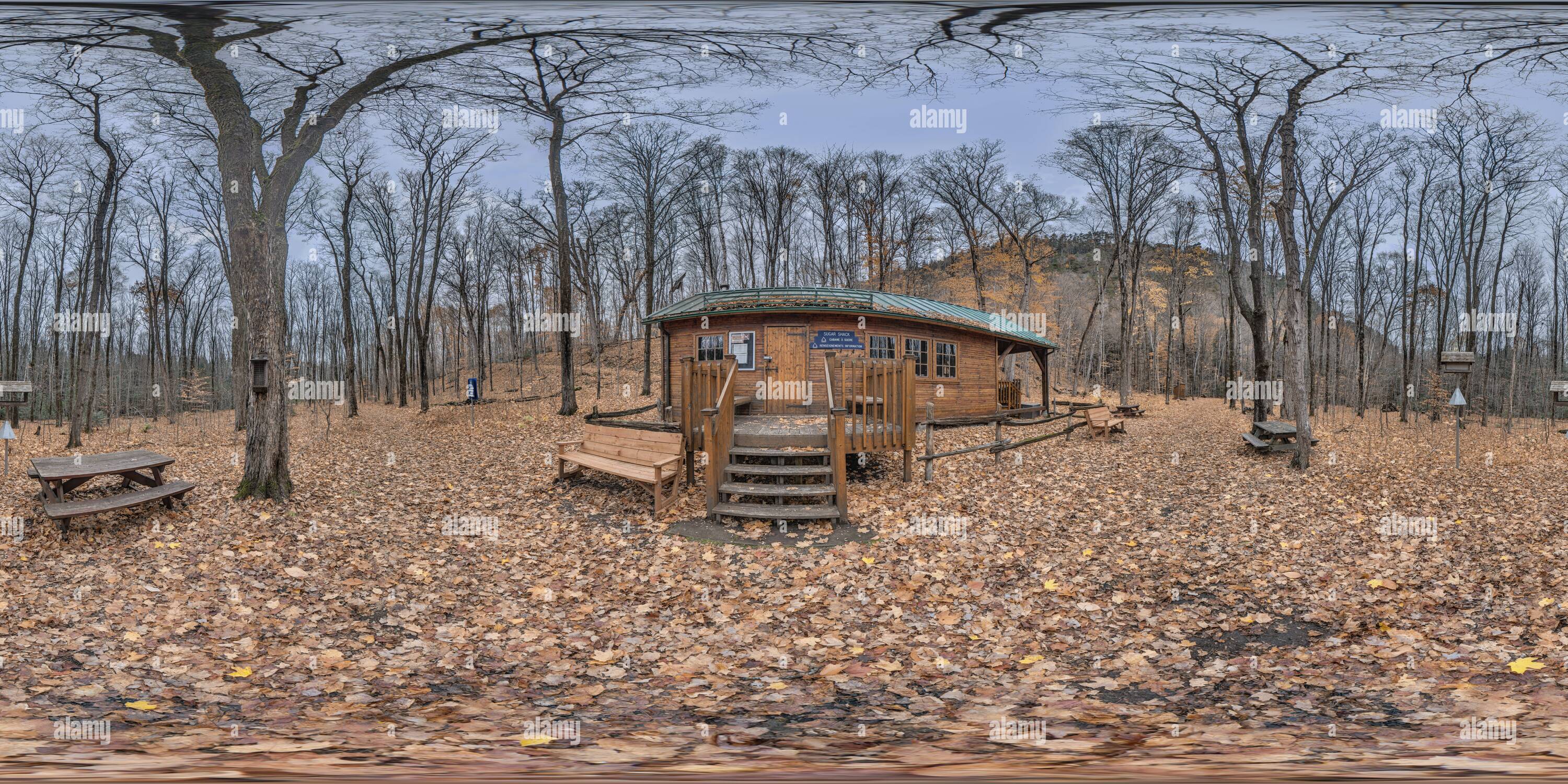 360 degree panoramic view of 360 Panorama of L’Érablière (Sugar Bush) Shelter on L’Érablière trail at the Cap Tourmente National Wildlife Area in fall with Autumn foliage, leaves
