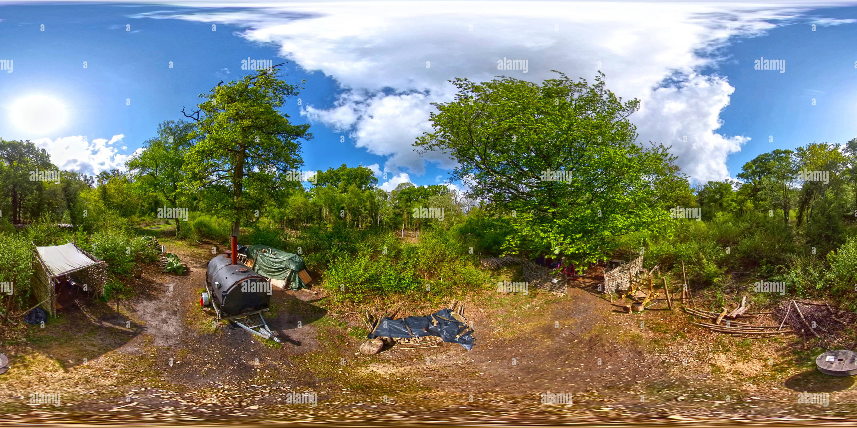 360° view of Charcoal burner at Pondhead inclosure in the New Forest National Park, UK Alamy