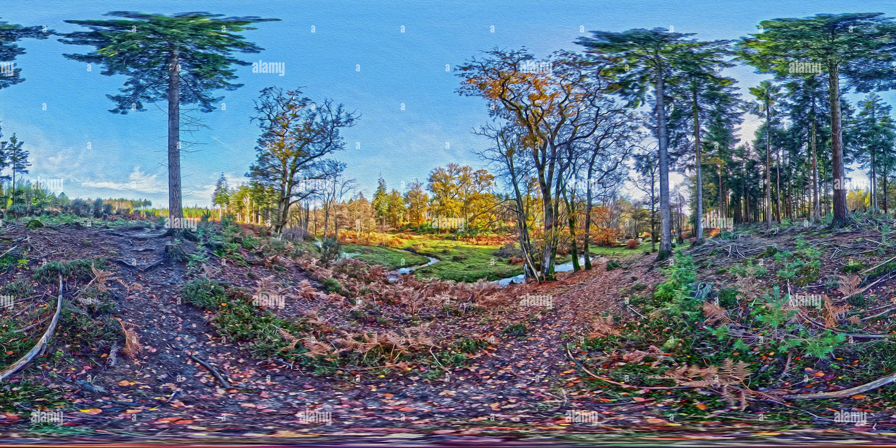 360° view of Autumn in the New Forest (Digital art - Alamy