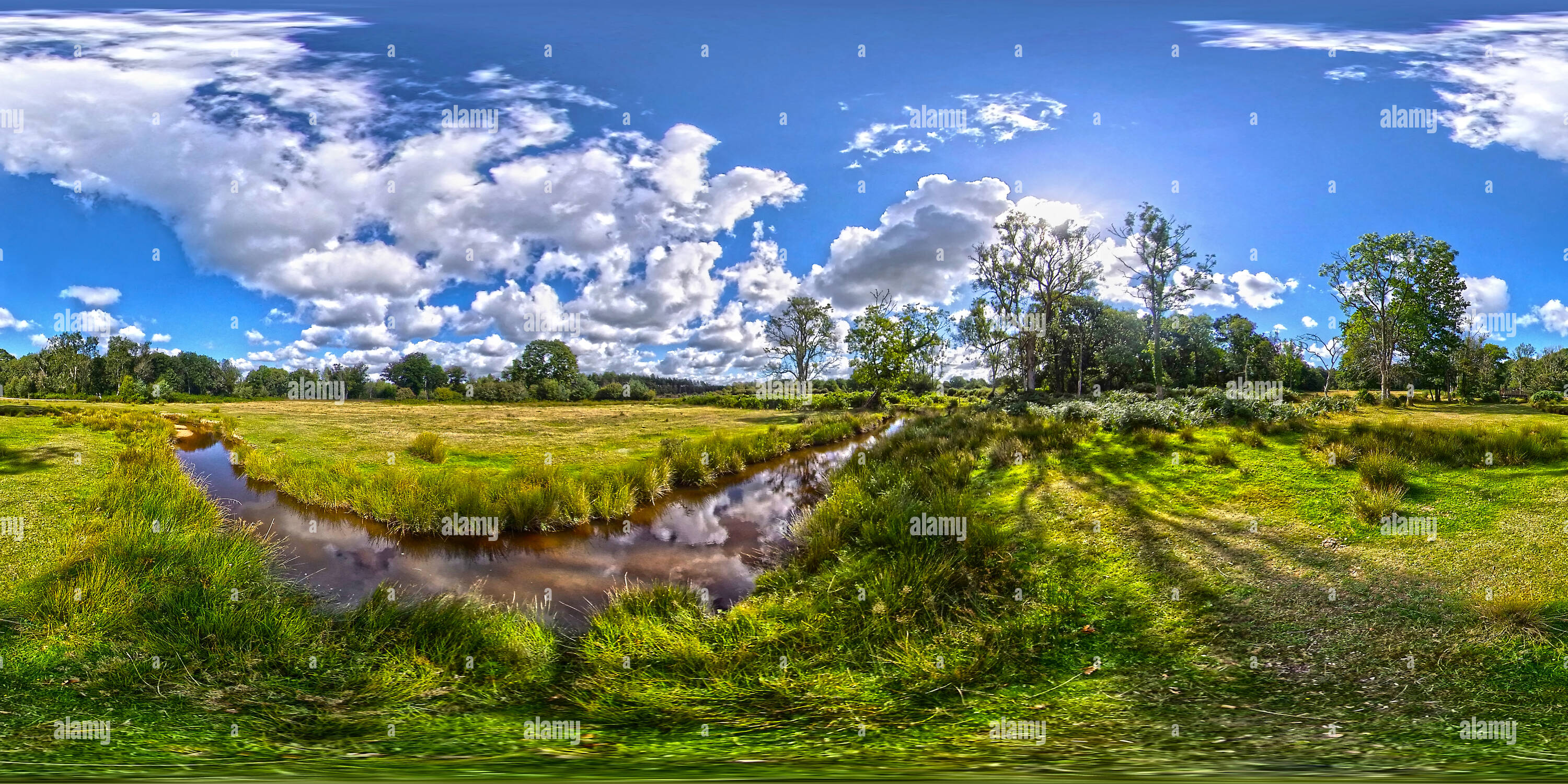 360-view-of-flechs-water-in-the-new-forest-national-park-hampshire