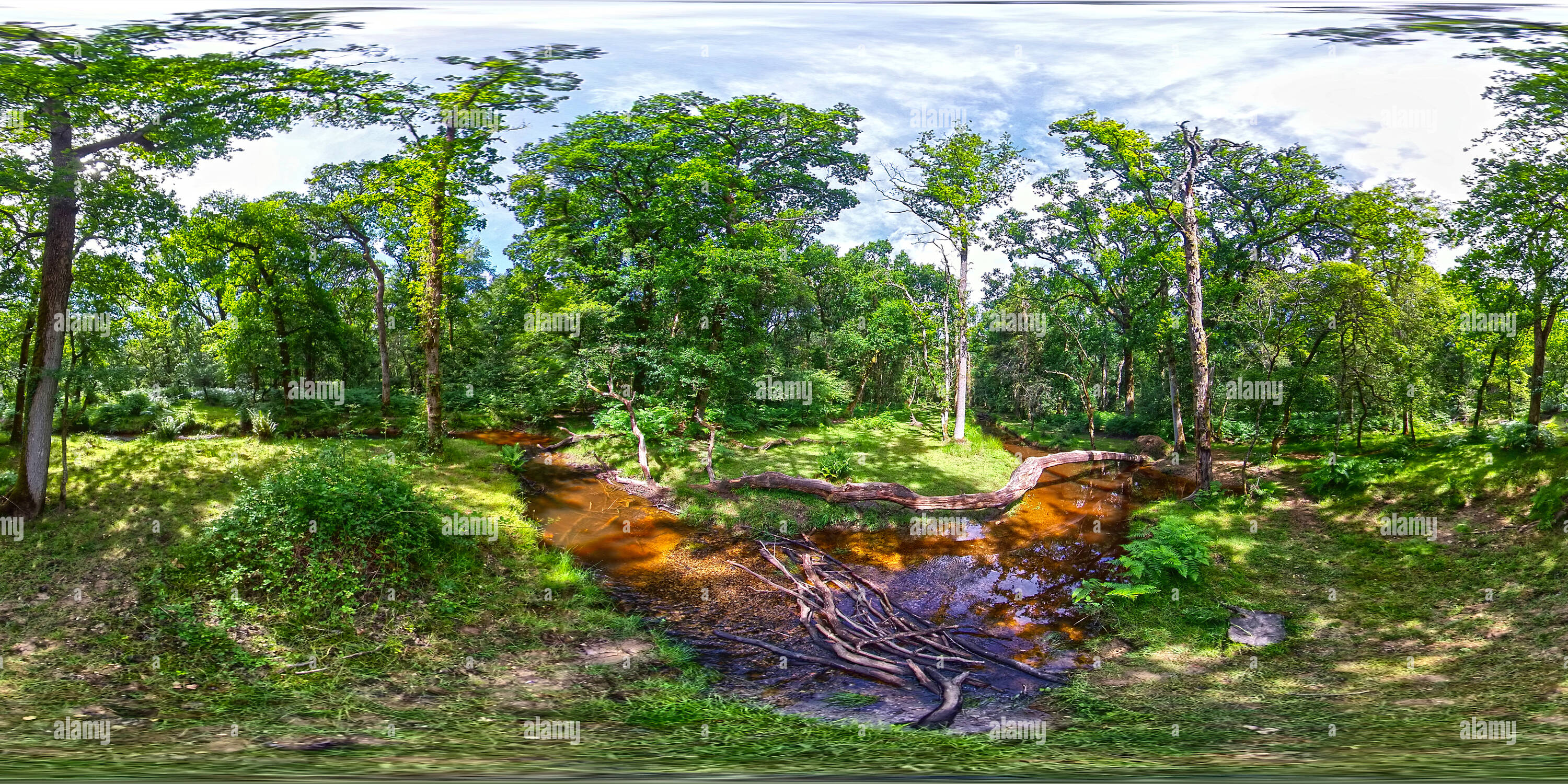 360-view-of-flechs-water-winding-stream-in-the-new-forest-national