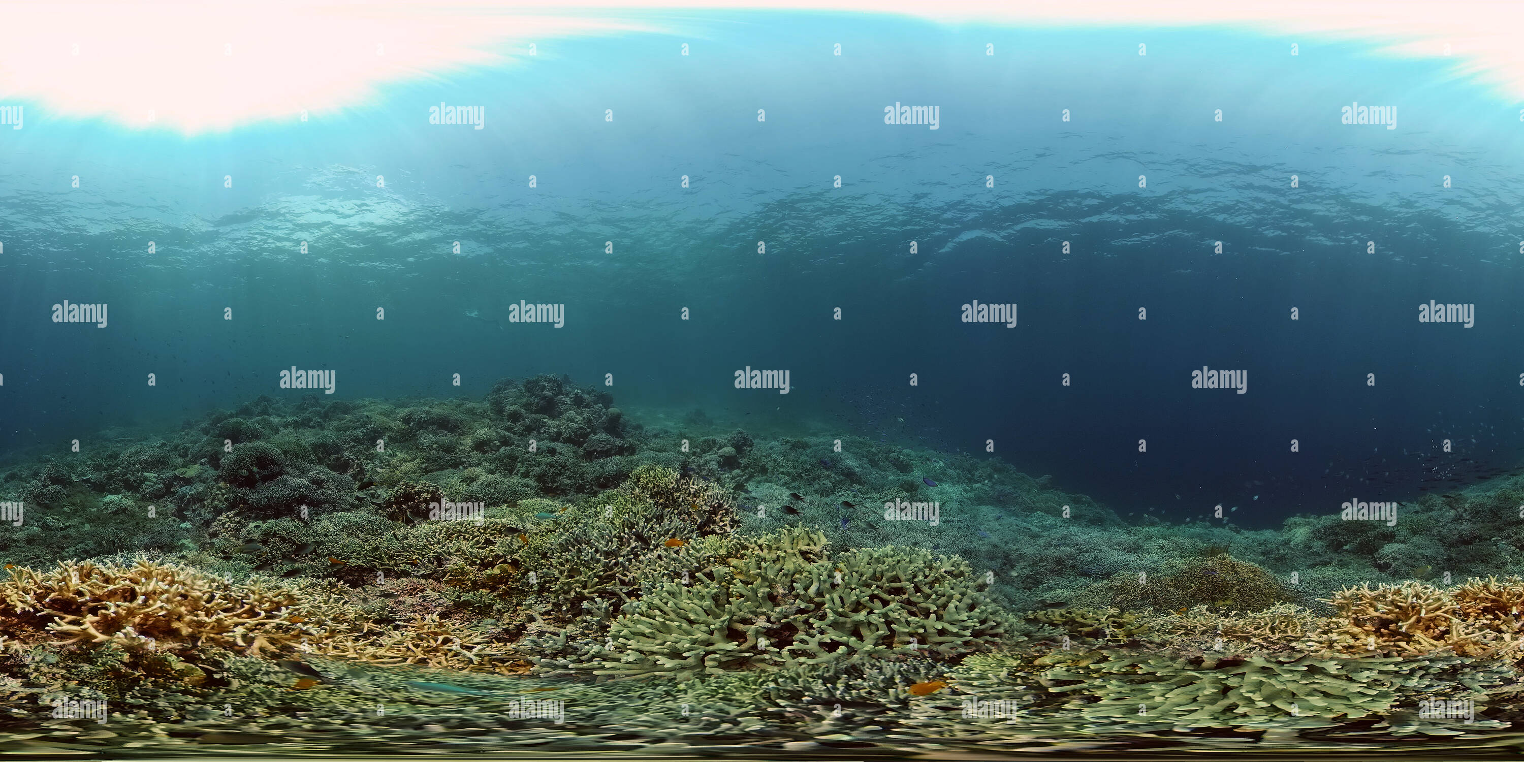 Inner Water View 360° view of Beautiful underwater landscape - Alamy