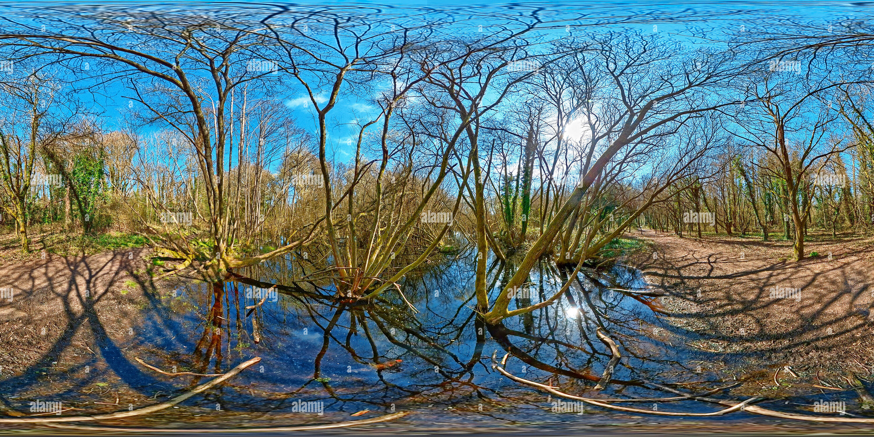 360° view of Quobleight pond fair oak, Hampshire, United Kingdom Alamy