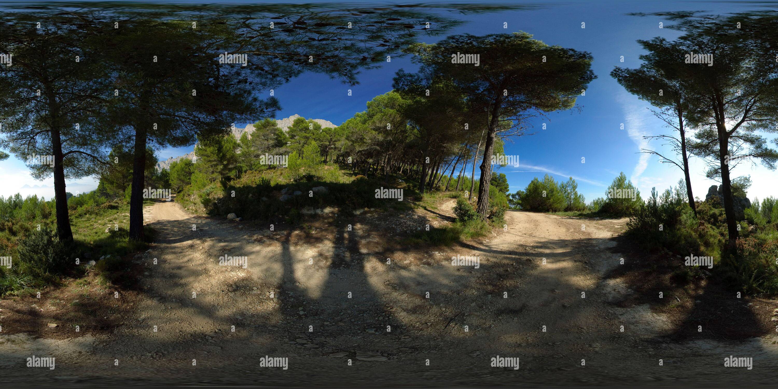 360° view of Forest in the sierra de Bernia mountain near Altea ...