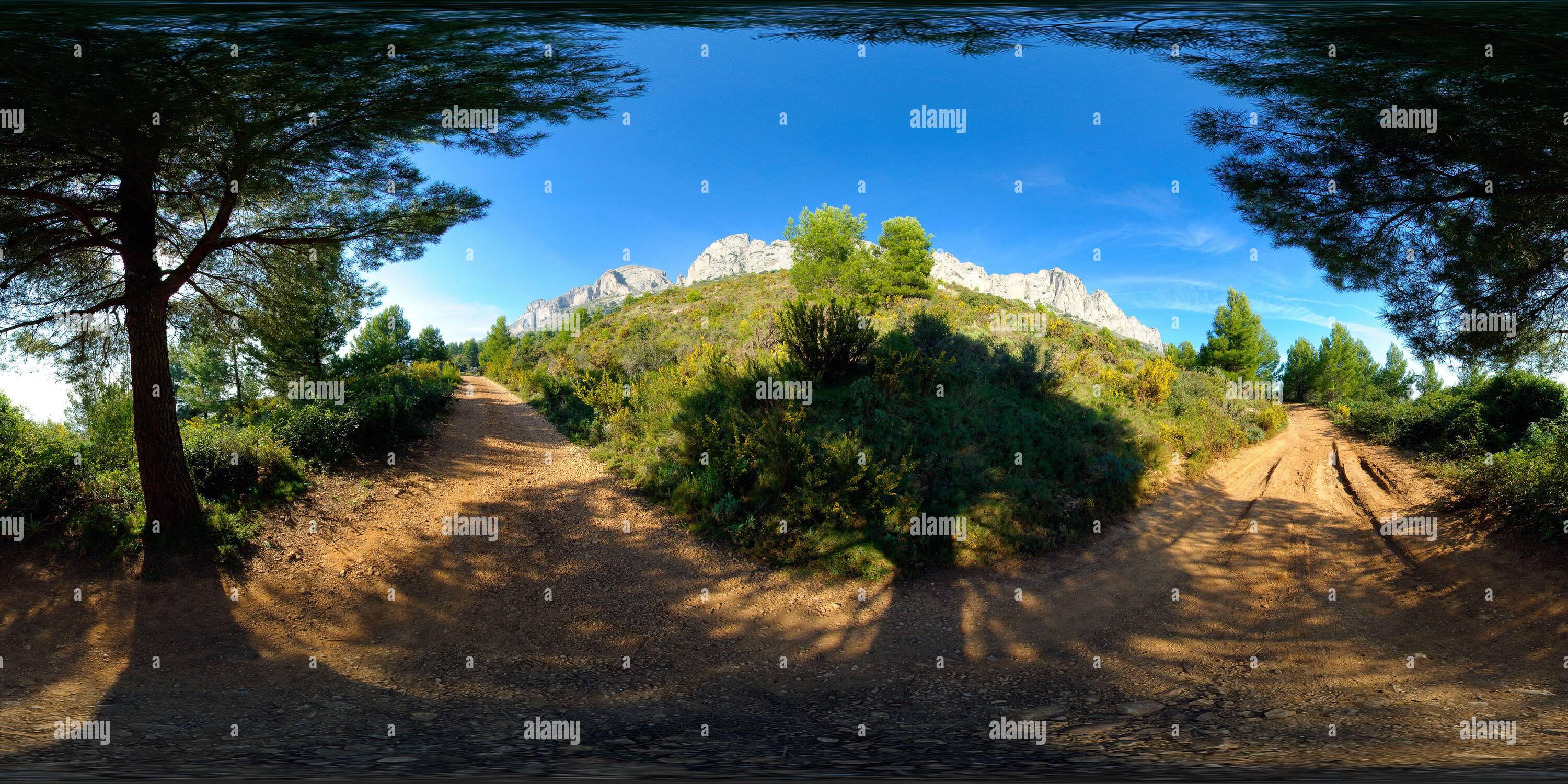 360° view of Forest in the sierra de Bernia mountain near Altea ...