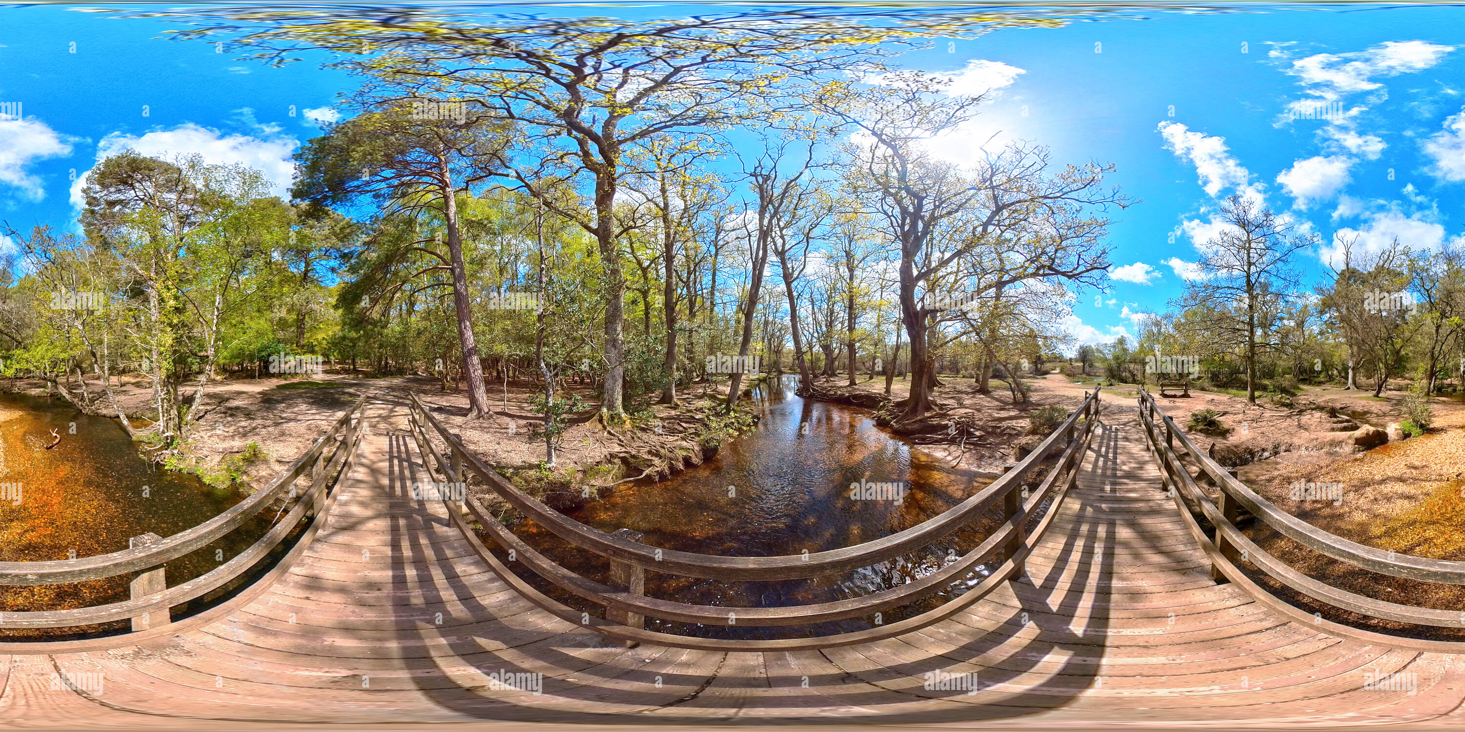 Springtime Forest Bridge 360° view of Bridge over Ober Water stream springtime, New Forest ...