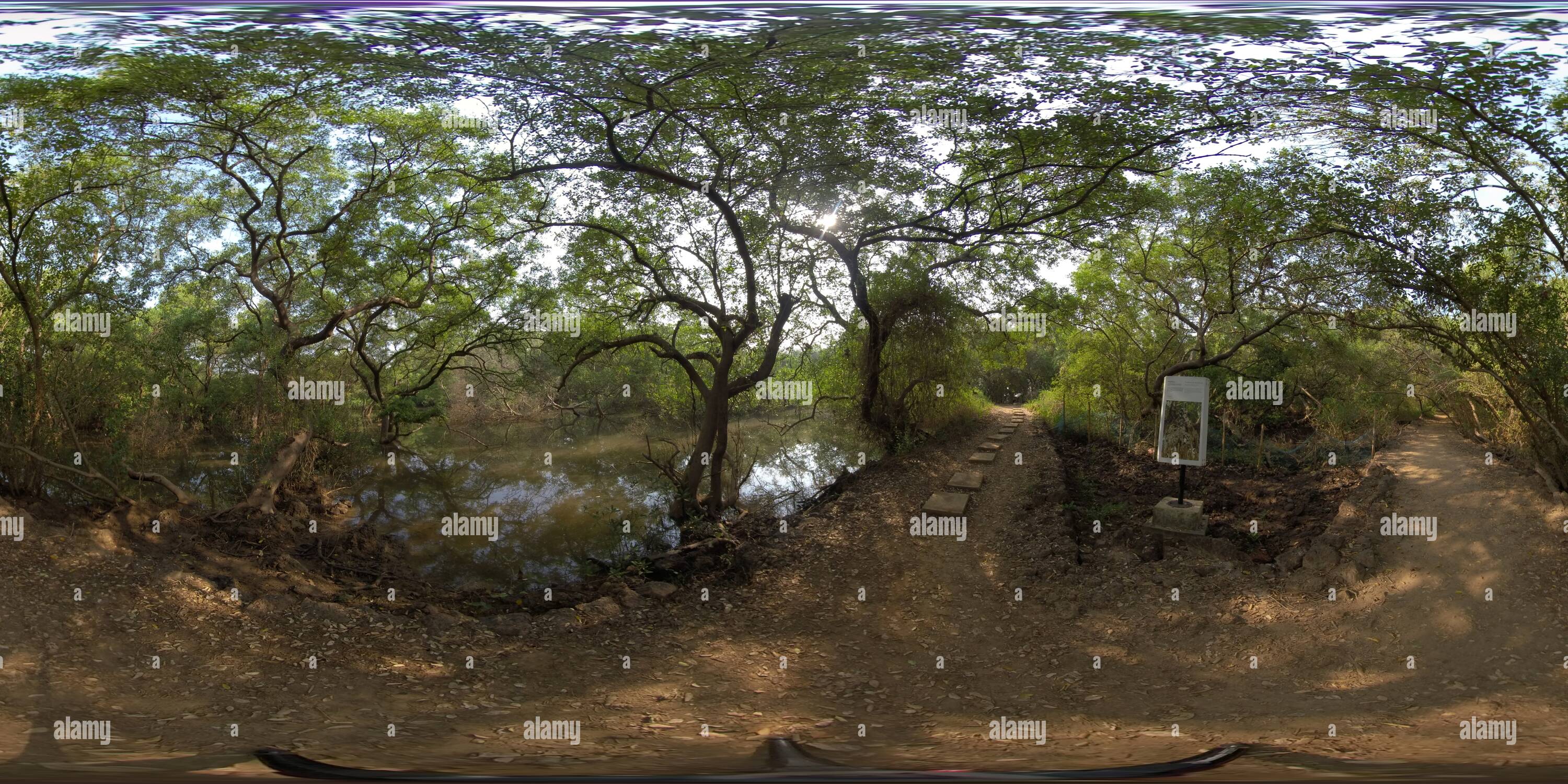 360 degree panoramic view of Dr. Salim Ali Bird Sanctuary Pathway