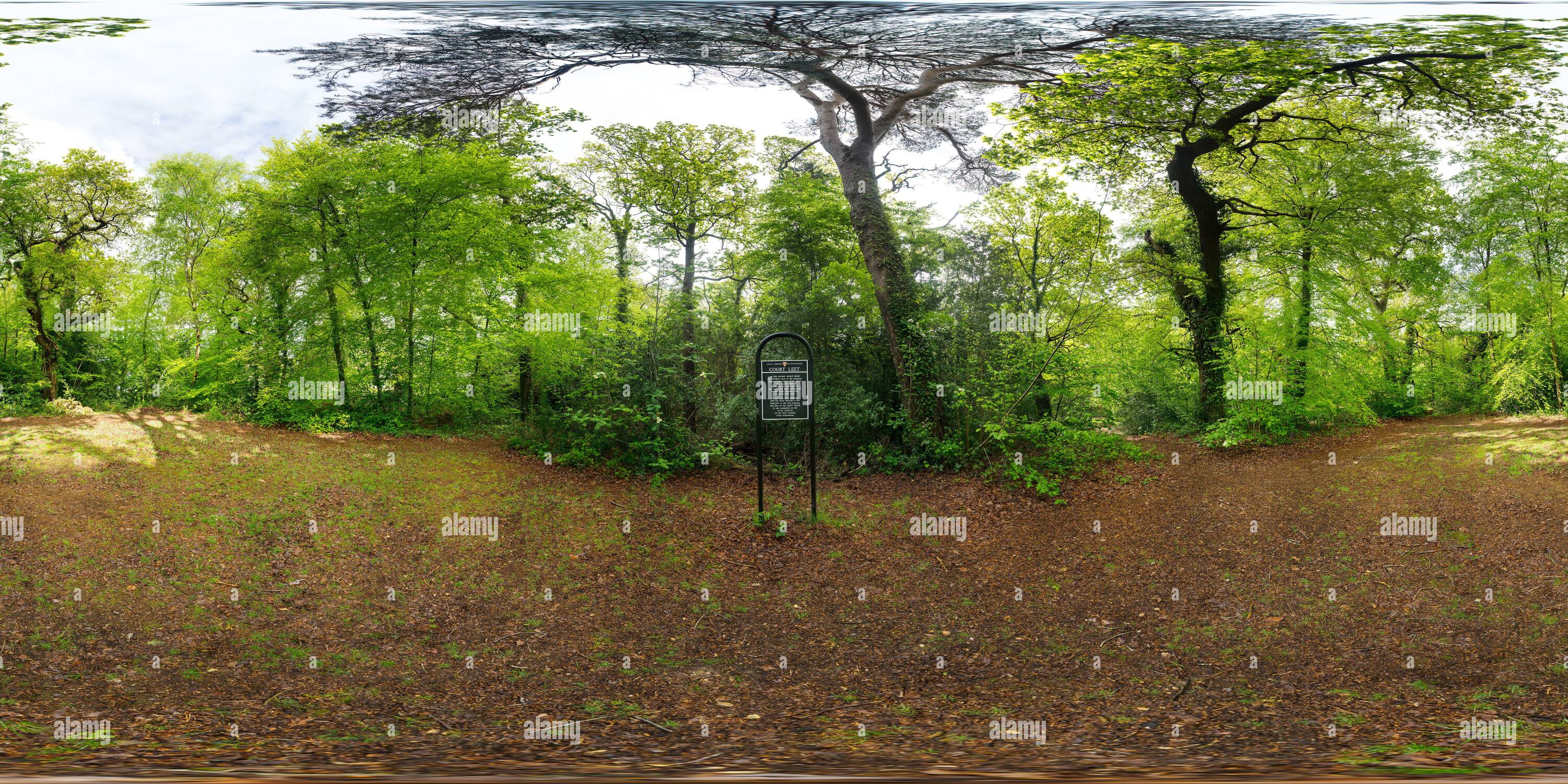 360° view of The mound on Southampton Common known as Cutthorn was the