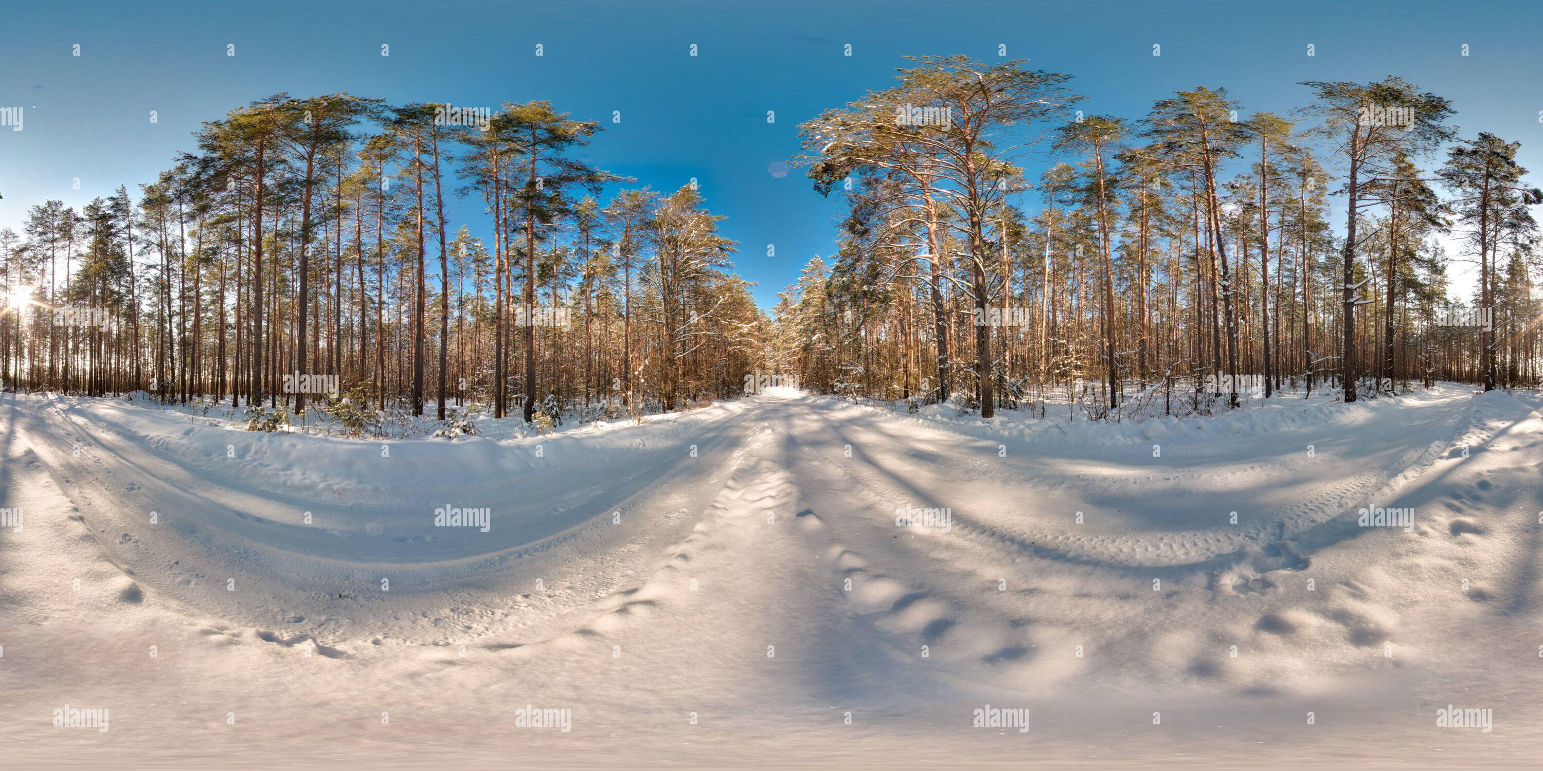 360 degree panoramic view of Beautiful landscape with trees blue road sky sun snow at winter 3D spherical panorama with 360 degree viewing angle Ready for virtual reality vr Full