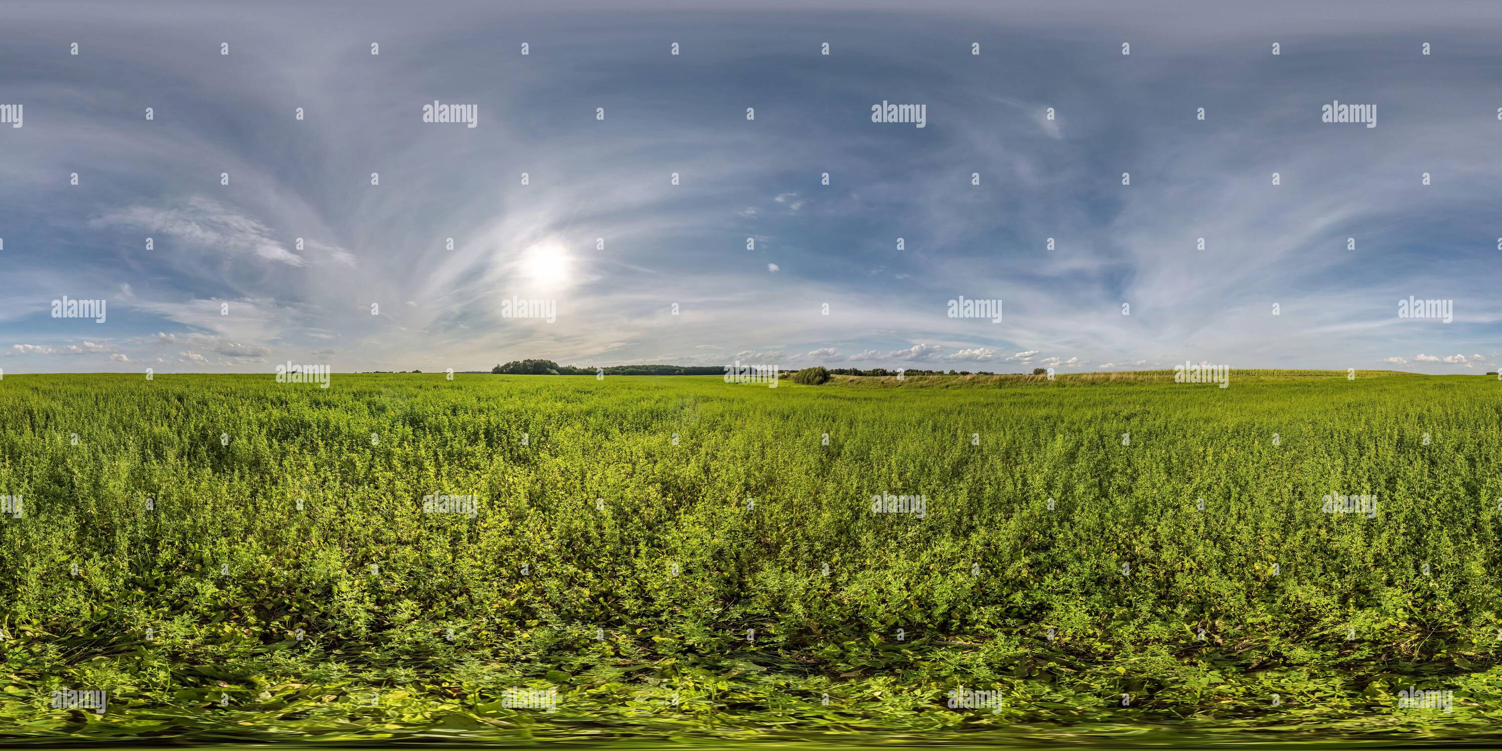 360° view of full seamless spherical hdri panorama 360 degrees angle view  among fields in summer evening sunset with awesome in equirectangular  projection with zen - Alamy