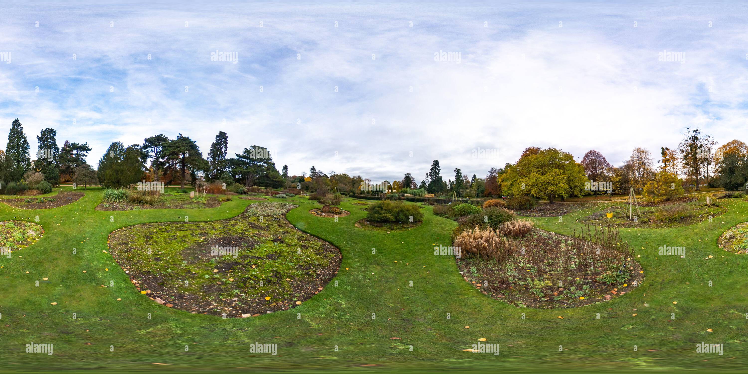 360 degree panoramic view of 360 degree image captured at Cambridge Botanical Gardens. Captured in the autumn, November 2021.