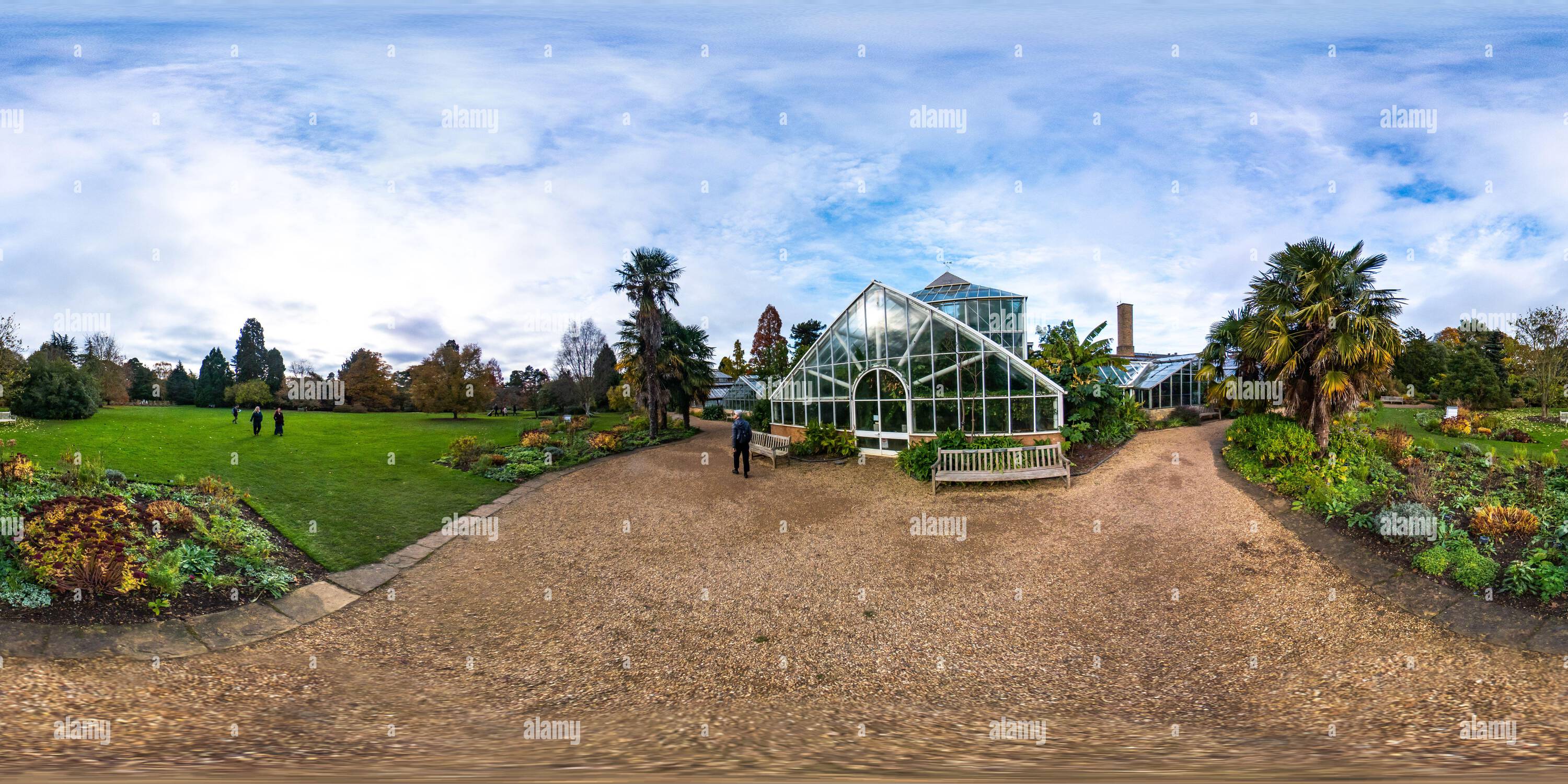 360° view of 360 degree view of the glasshouses, growing houses and