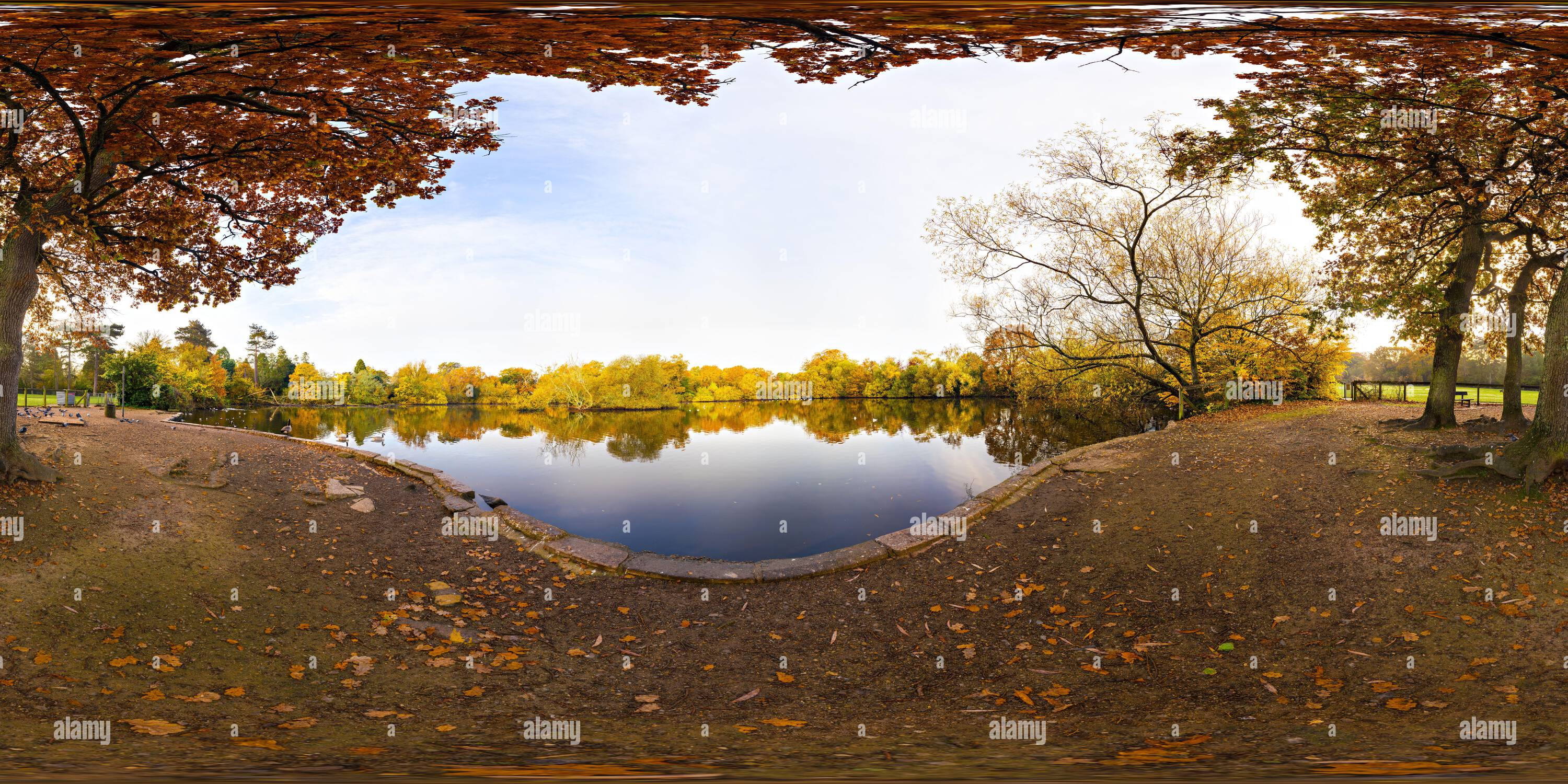 360 degree panoramic view of The Cemetery Lake on Southampton Common in autumn. Southampton, England.