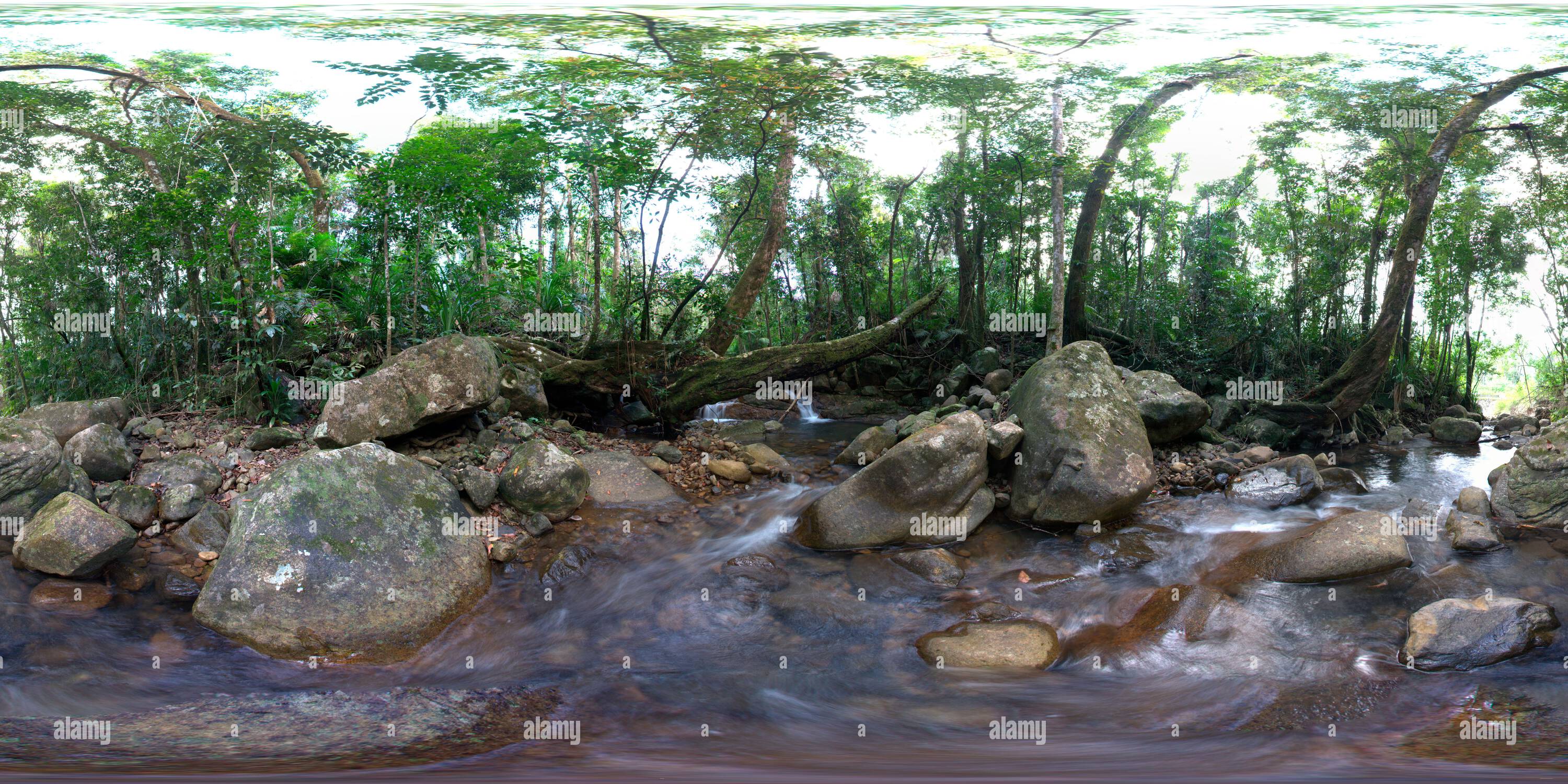 360° view of Panoramic view of freshwater tropical rainforest stream ...