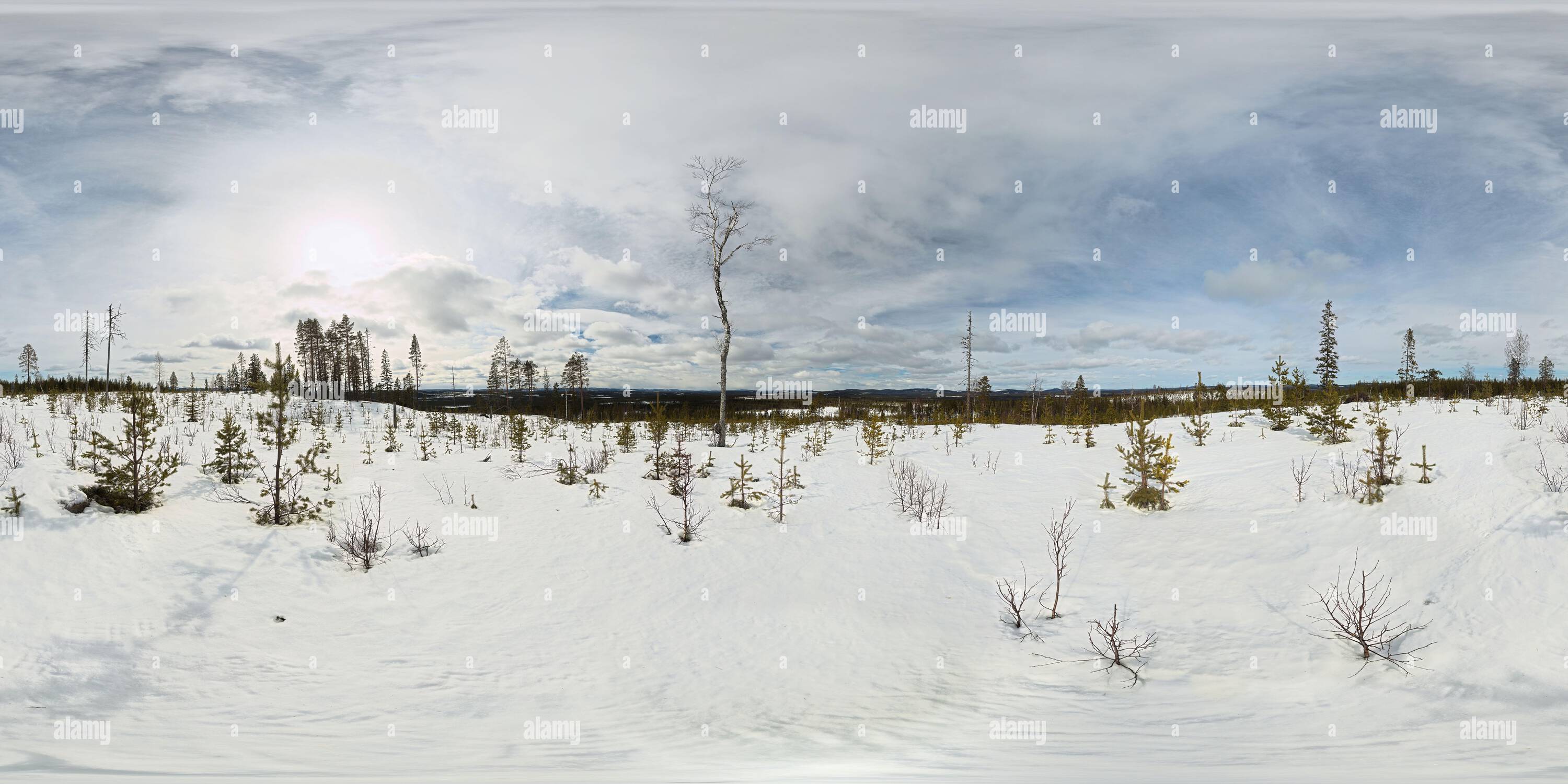 360 degree panoramic view of Spherical panorama of view from the mountain Granberget in Vasterbotten, Sweden.