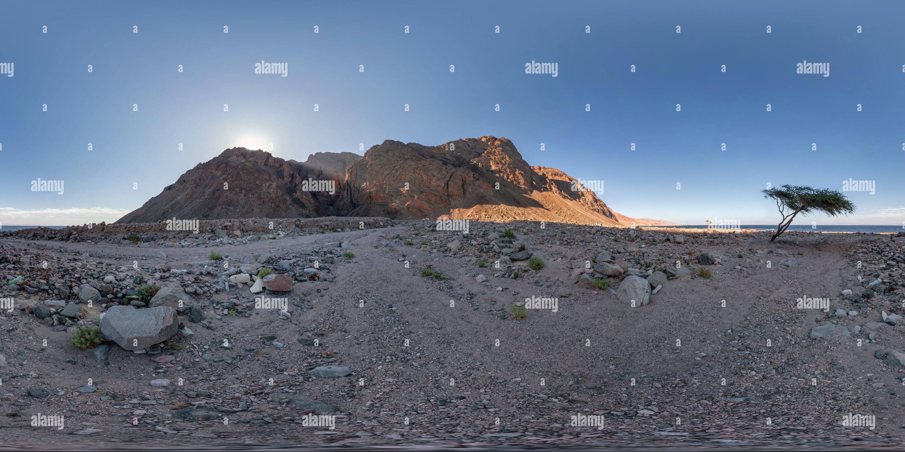 360 degree panoramic view of full seamless spherical hdri 360 panorama view of sunset in desert near tree with sun shines from behind the mountain on coast of sea in equirectangul