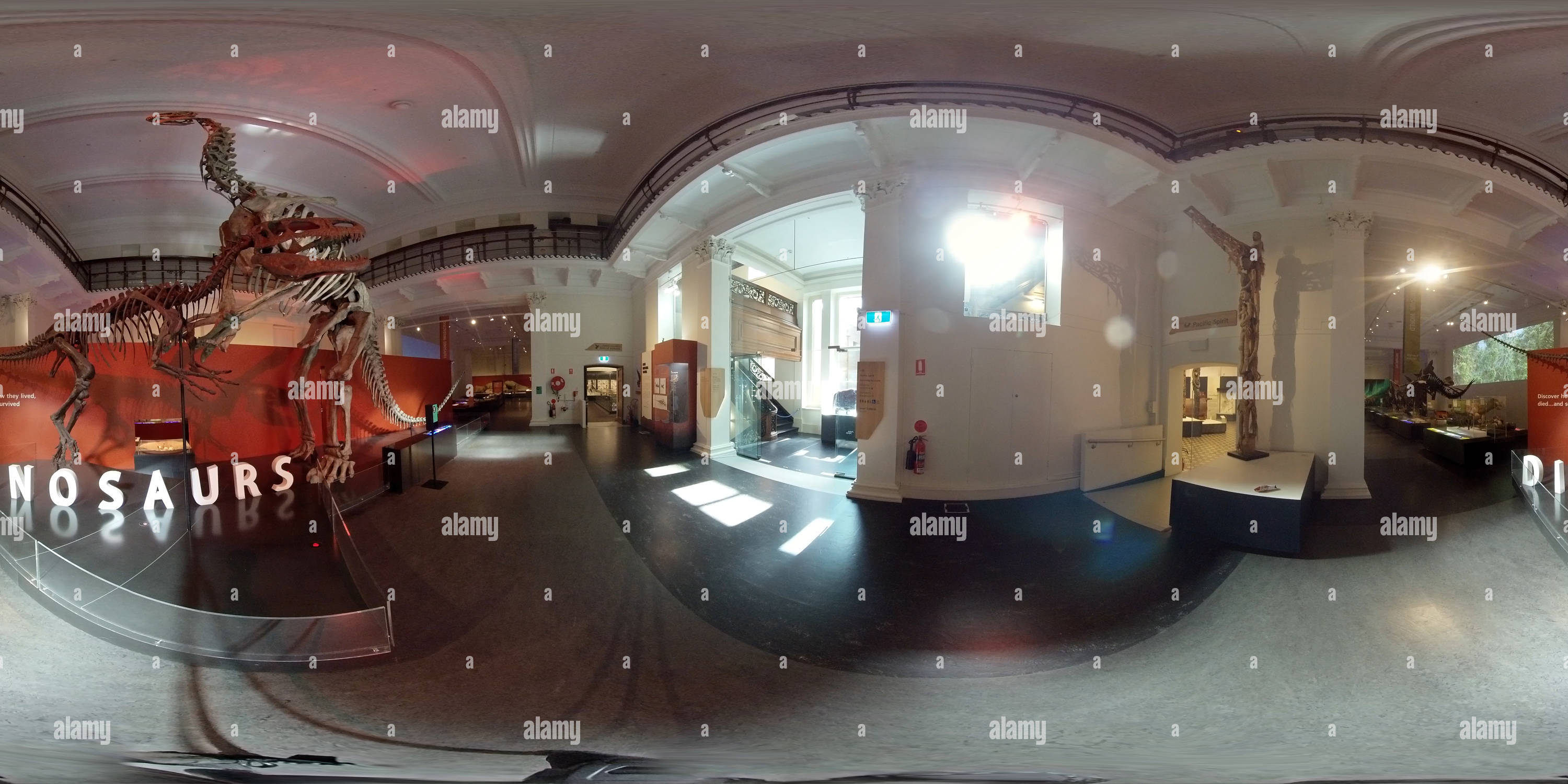 360 degree panoramic view of Australian Museum Dinosaur Hall