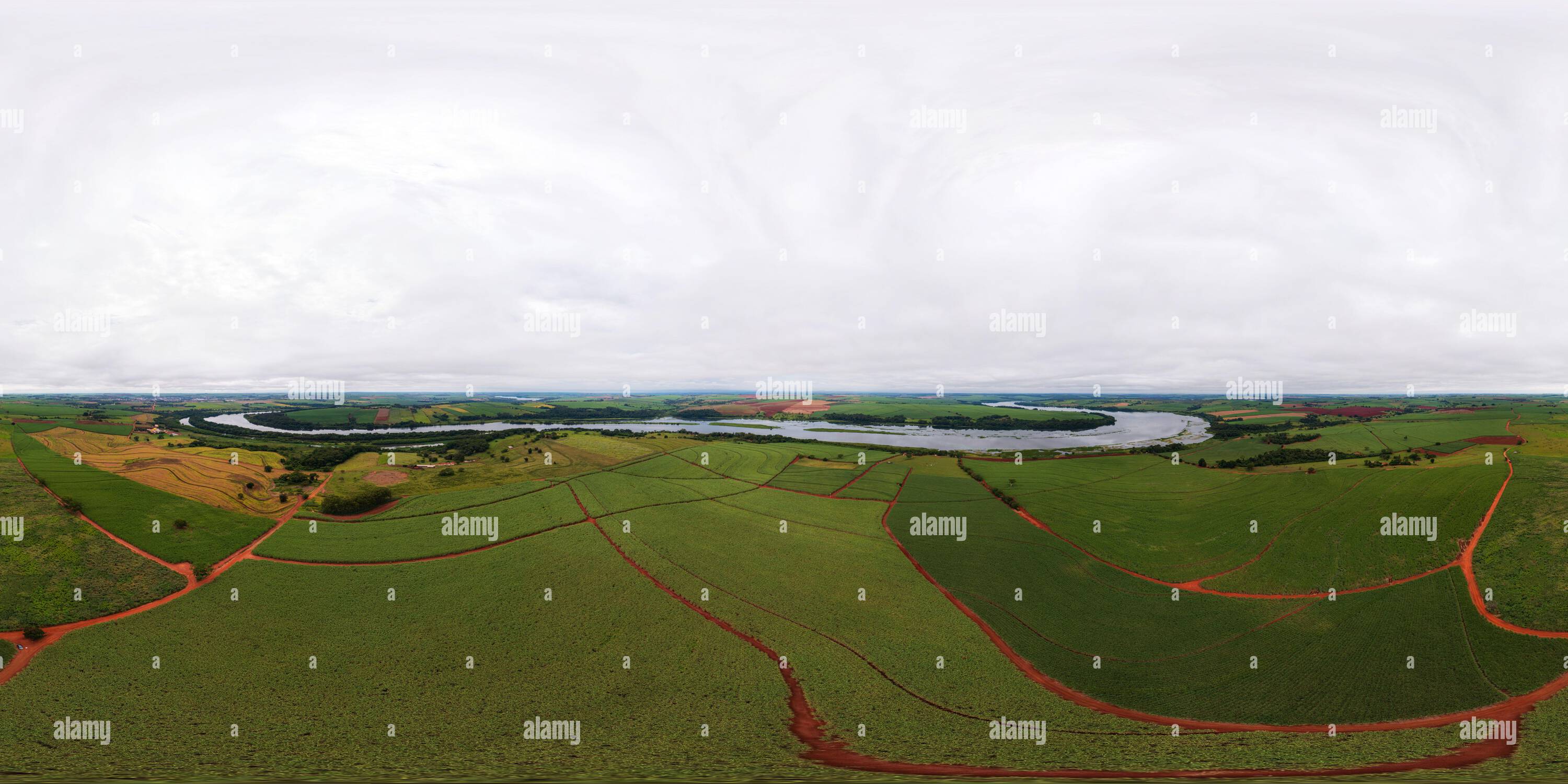 360 degree panoramic view of Sugarcane plantation near the Tiete River - dorne view