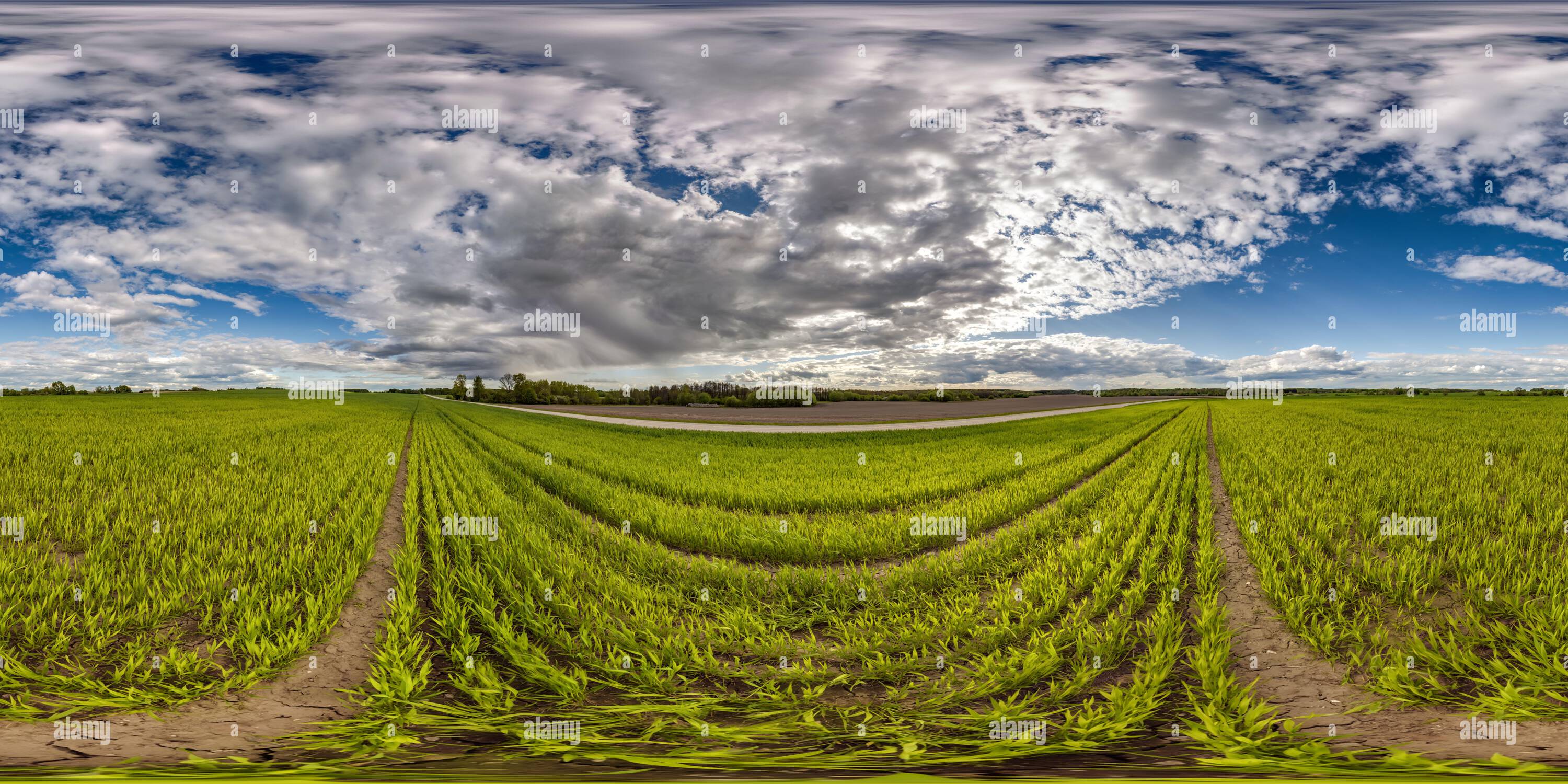 360° view of full seamless 360 hdri panorama view among farming fields ...