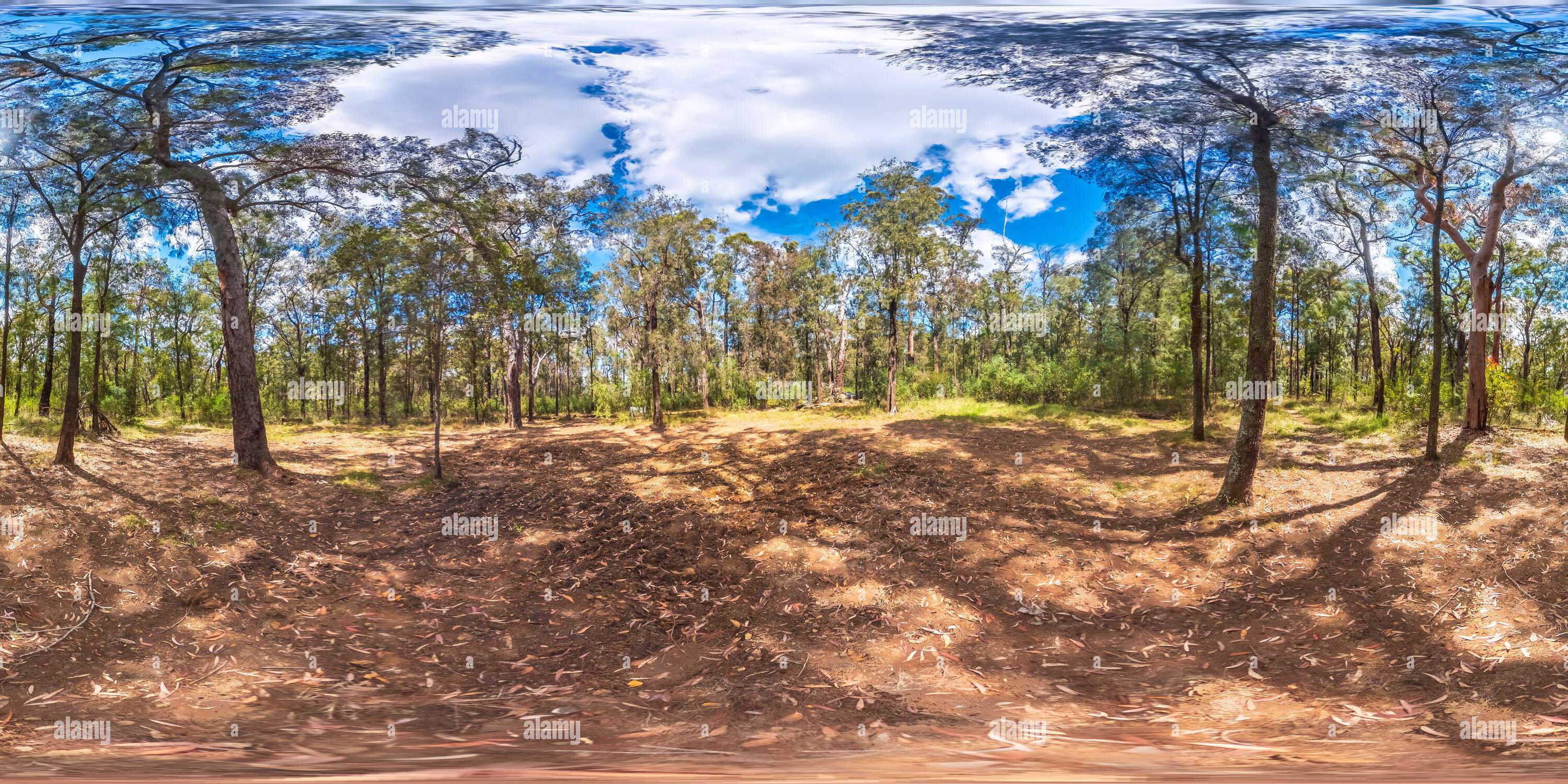 360° view of Spherical panoramic photograph of The Oaks Picnic Area