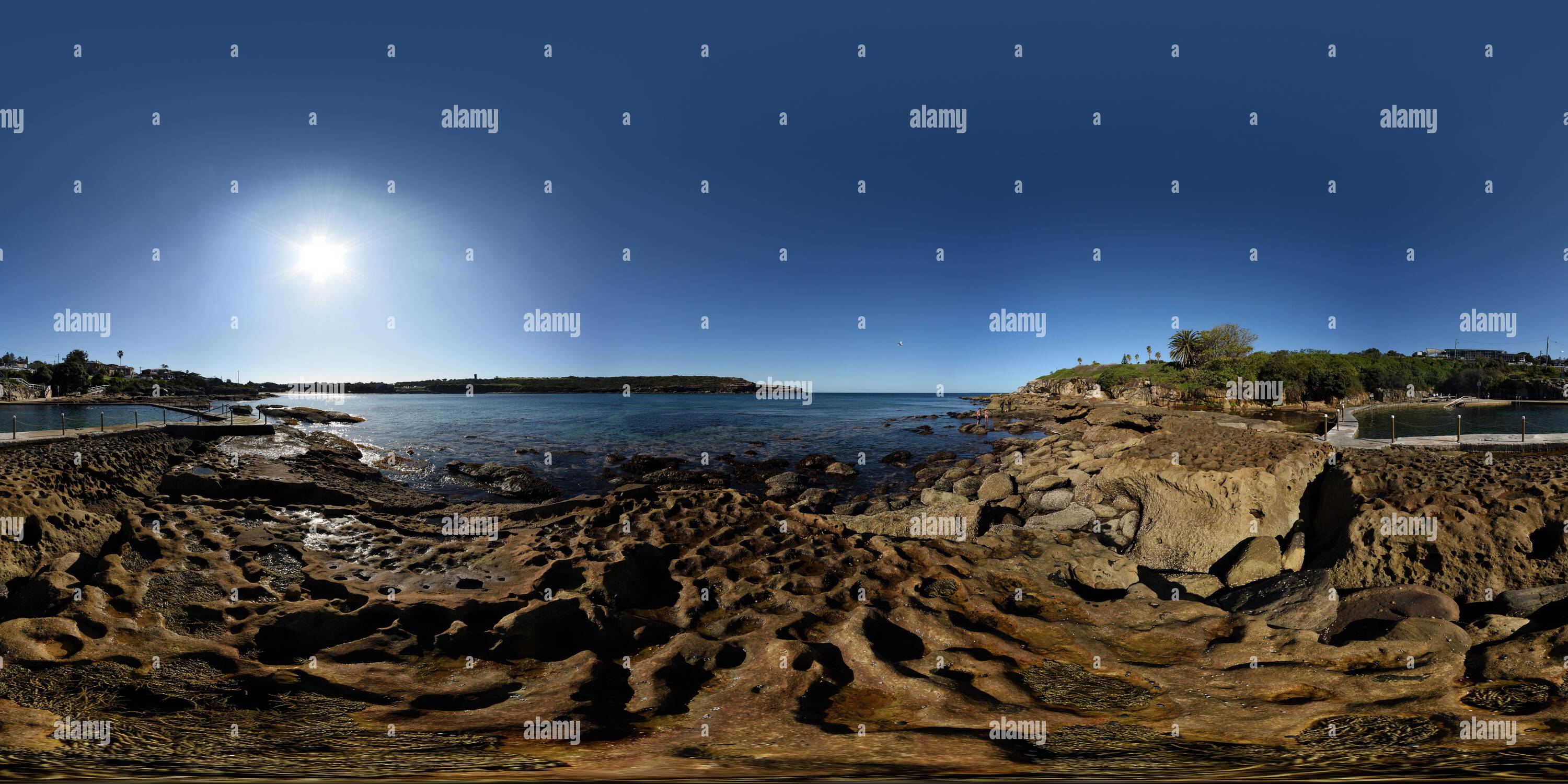 360 degree panoramic view of 360 degree panorama of Malabar Ocean Pool, and Neptune's Necklace (Hormosira banksii) on the rock shelf, Sydney, Australia