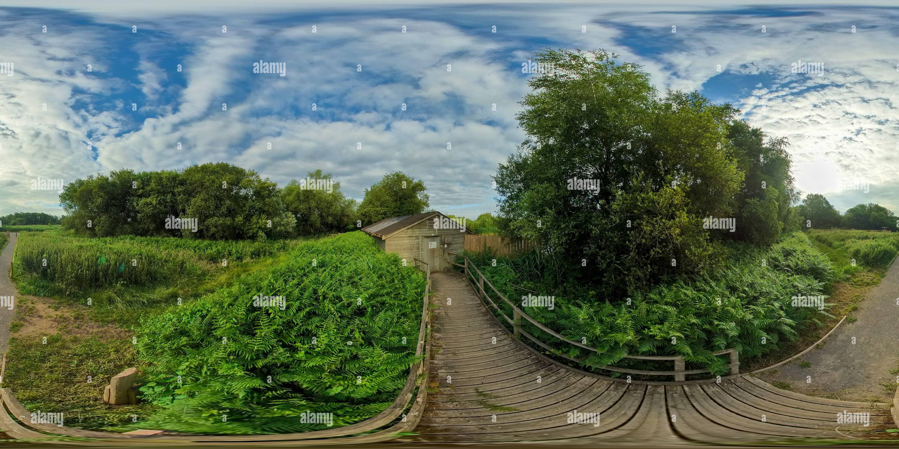 360 degree panoramic view of Above Wooden Entrance to Viridor Hide in Westhay Moor National Nature Reserve