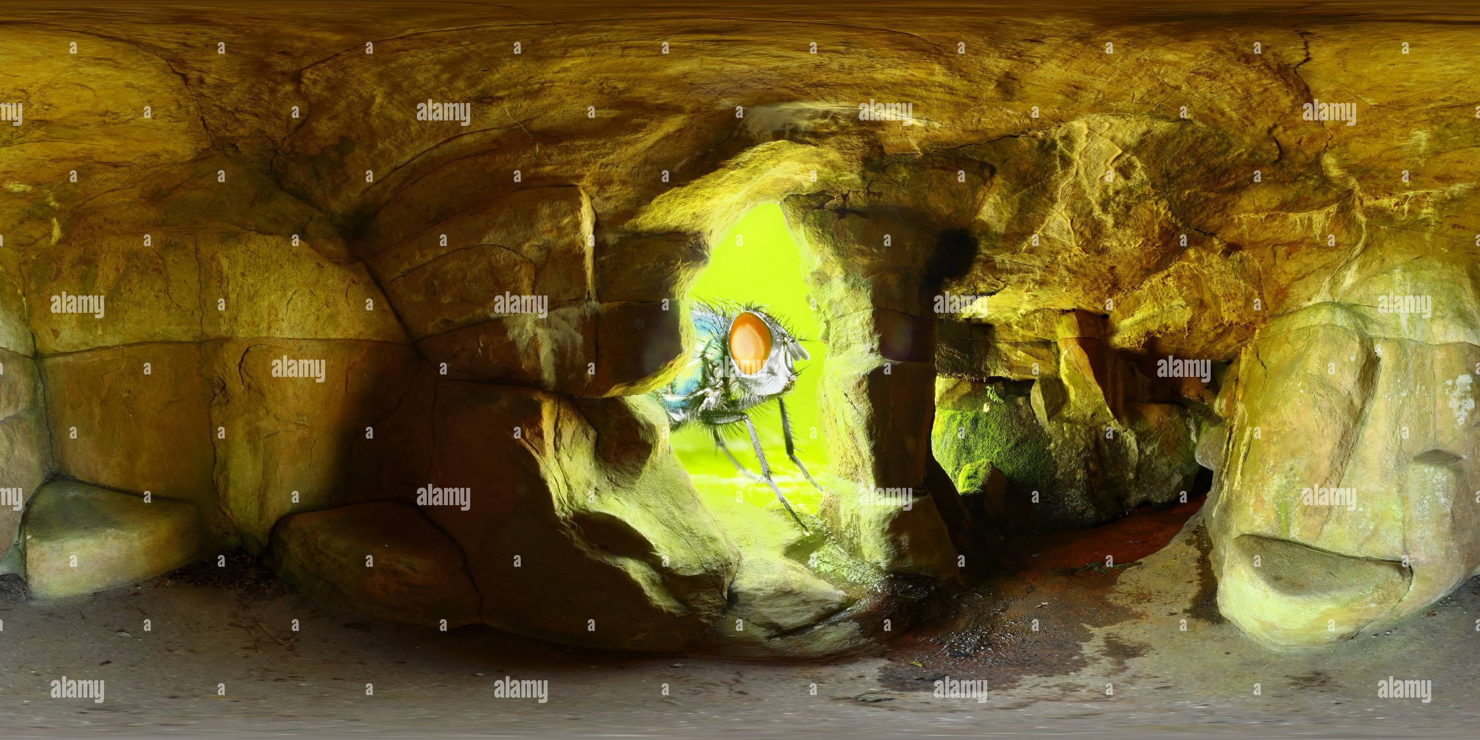 360 degree panoramic view of Escape to the Cave, Gisselfeld Kloster Park