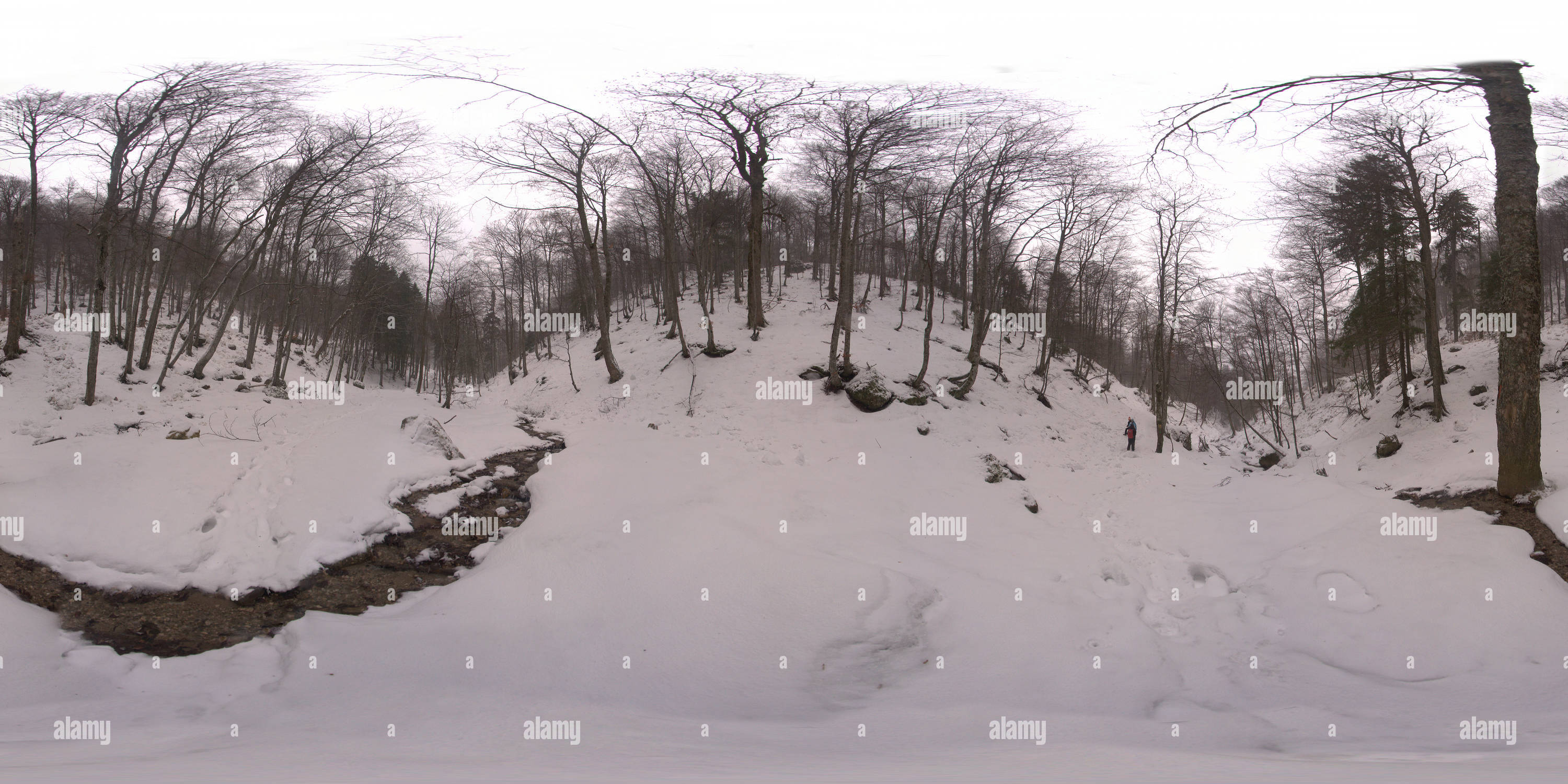 360° view of Beer Valley ( Valea Berii Alamy