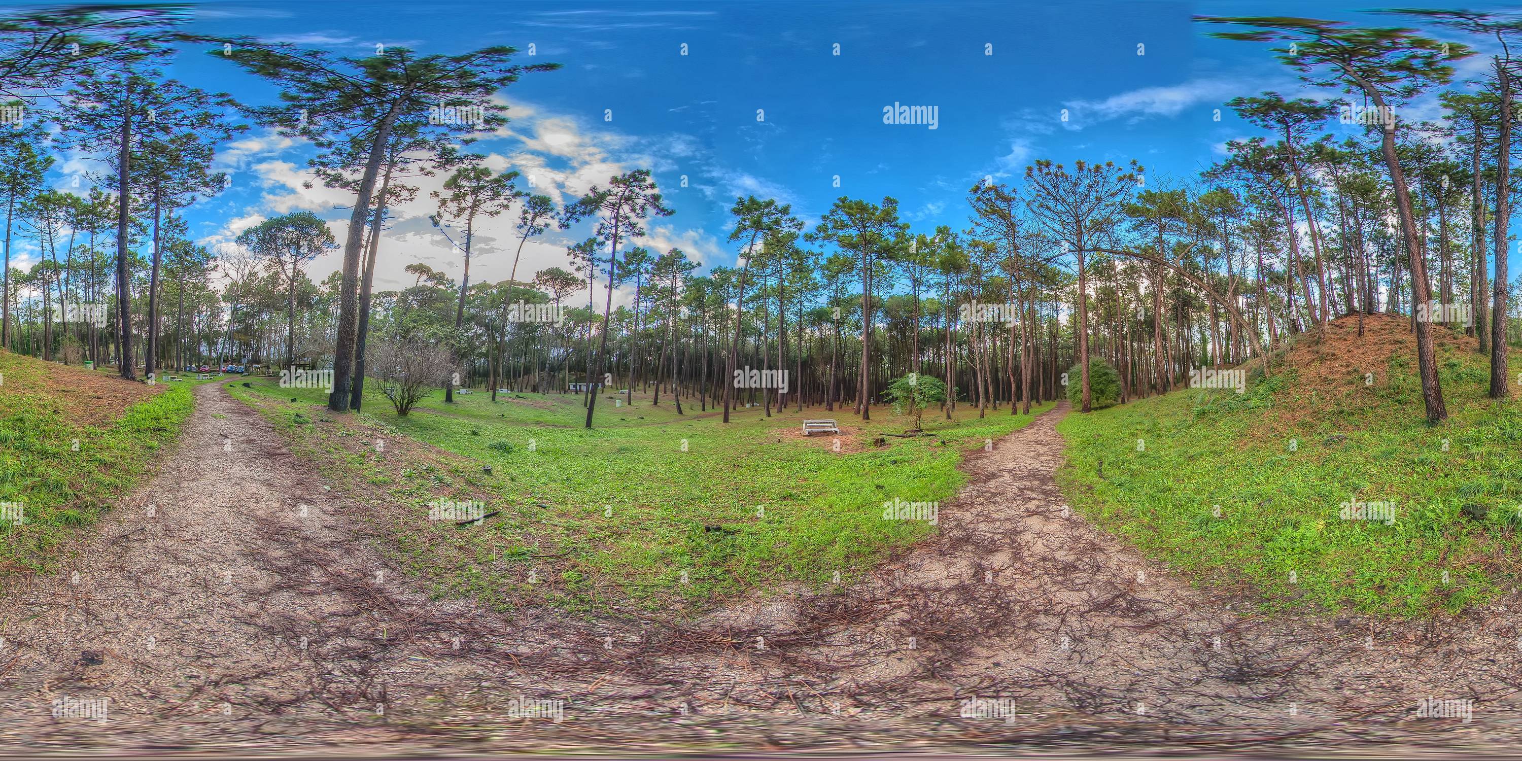 360 degree panoramic view of Liencres - Pinares Parque de Las Dunas de Liencres