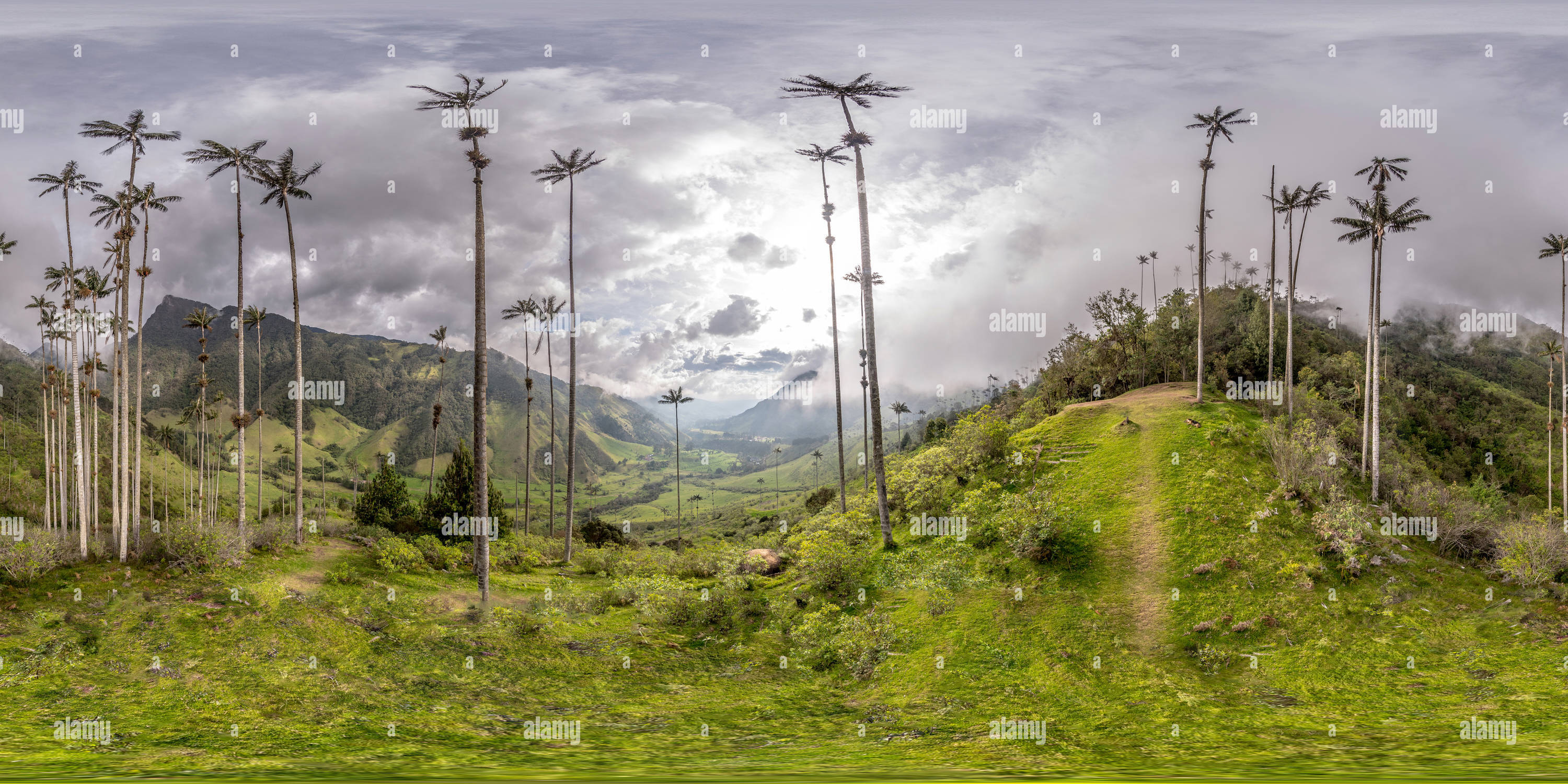 360 View Of Valle Del Cocora Salento Quind o Colombia Alamy