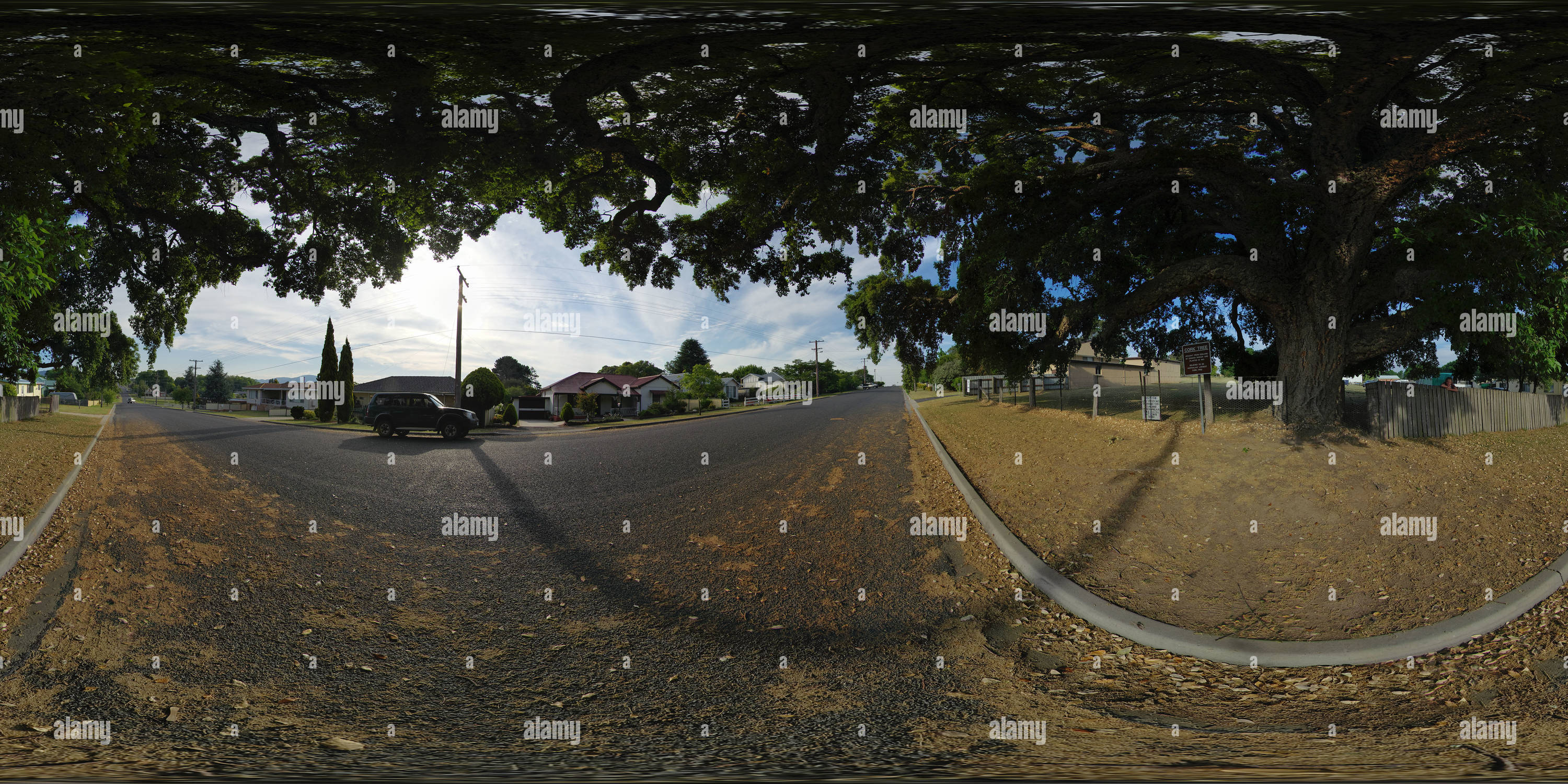 360° view of The Old Cork Tree in Tenterfield Alamy