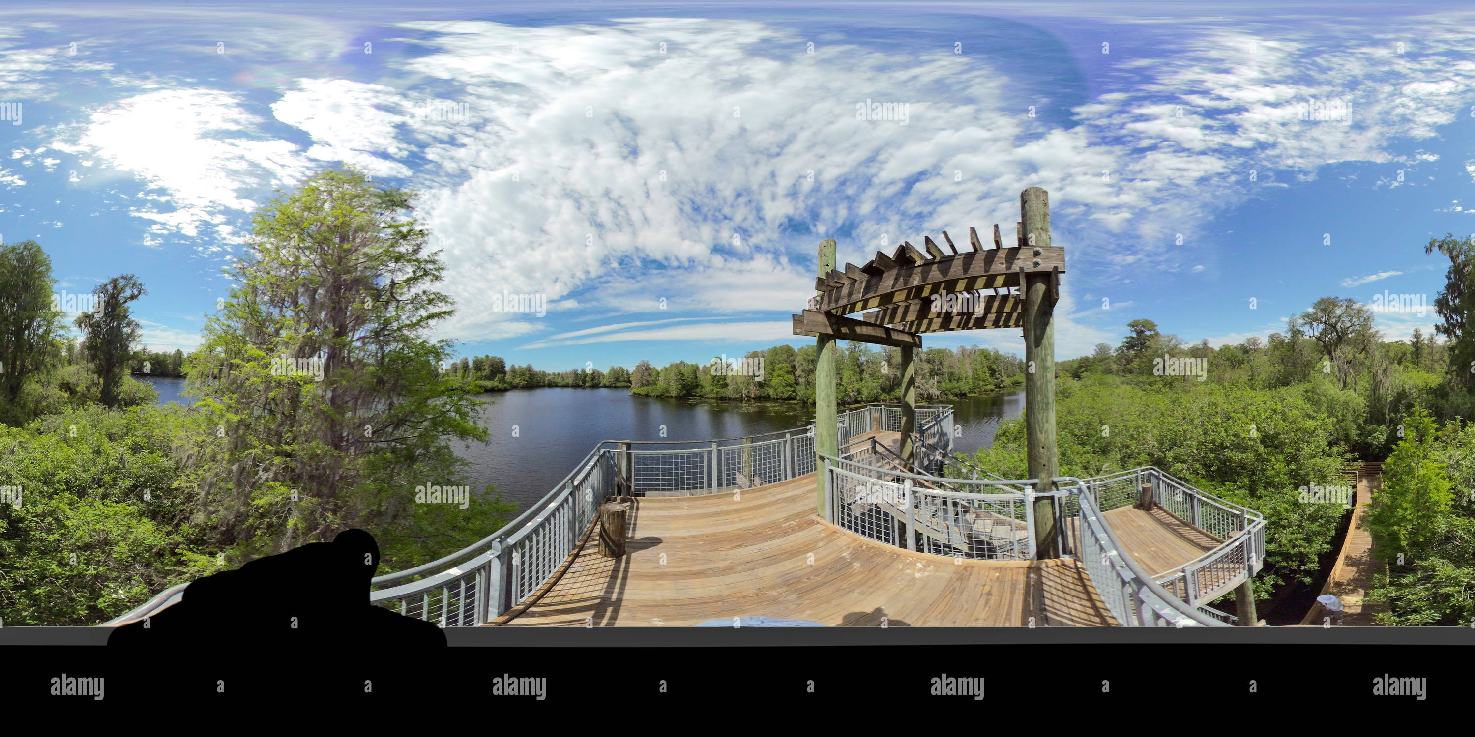 360° view of Lettuce Lake Park, Tampa Florida Alamy