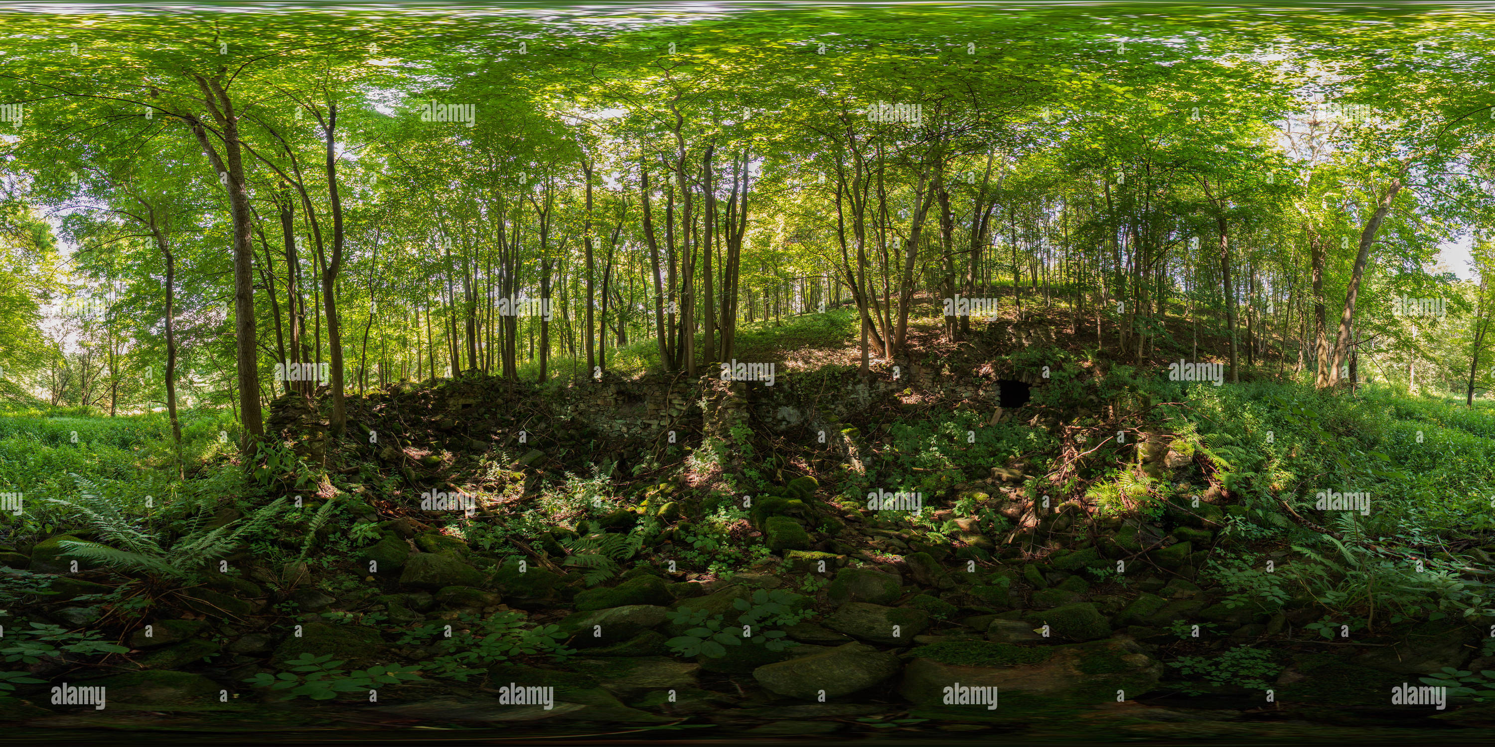 360 degree panoramic view of Untitled
